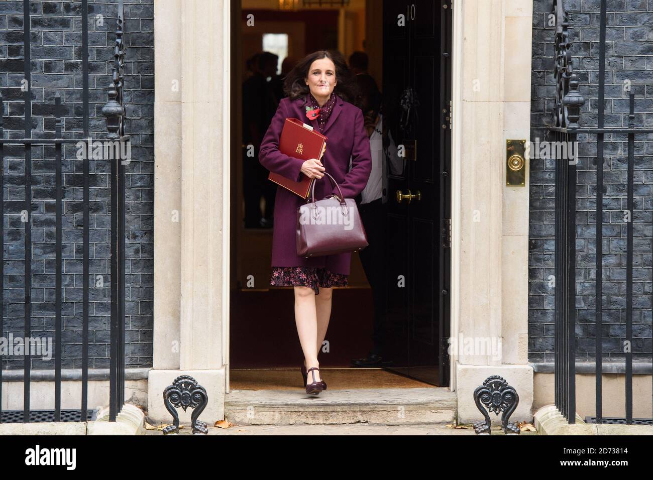 Theresa Villiers, secrétaire à l'Environnement, à l'alimentation et aux Affaires rurales, quitte une réunion du Cabinet à Downing Street, à Londres. Date de la photo: Mardi 29 octobre 2019. Le crédit photo devrait se lire: Matt Crossick/Empics Banque D'Images