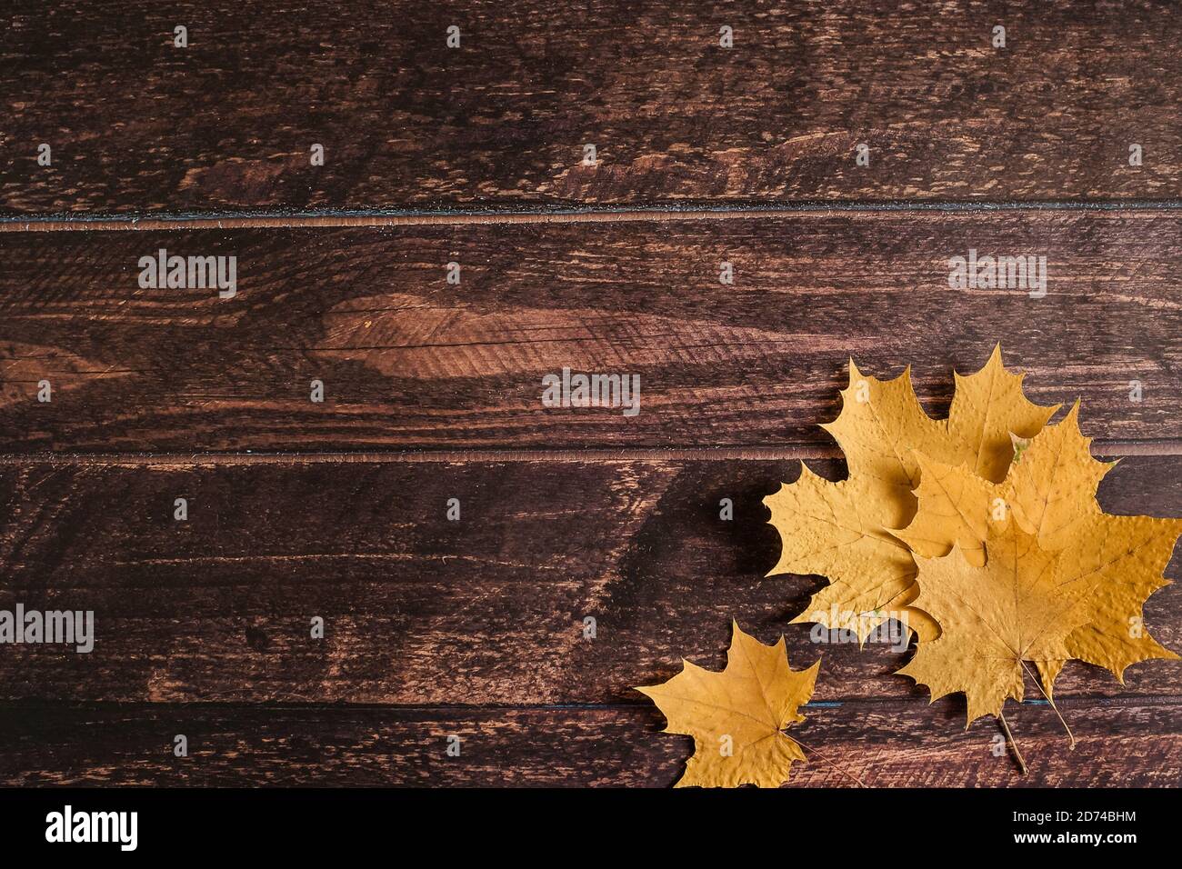 Les feuilles d'érable jaune d'automne se trouvent sur un fond en bois brun, en automne, septembre, octobre, novembre, feuilles d'automne sèches, chute des feuilles, espace publicitaire Banque D'Images