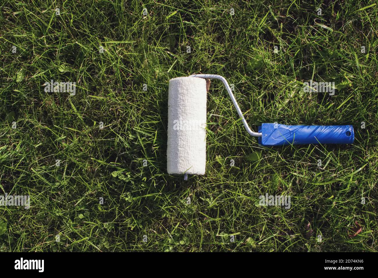 Peignez le rouleau sur de l'herbe. Concept d'écologie verte Banque D'Images