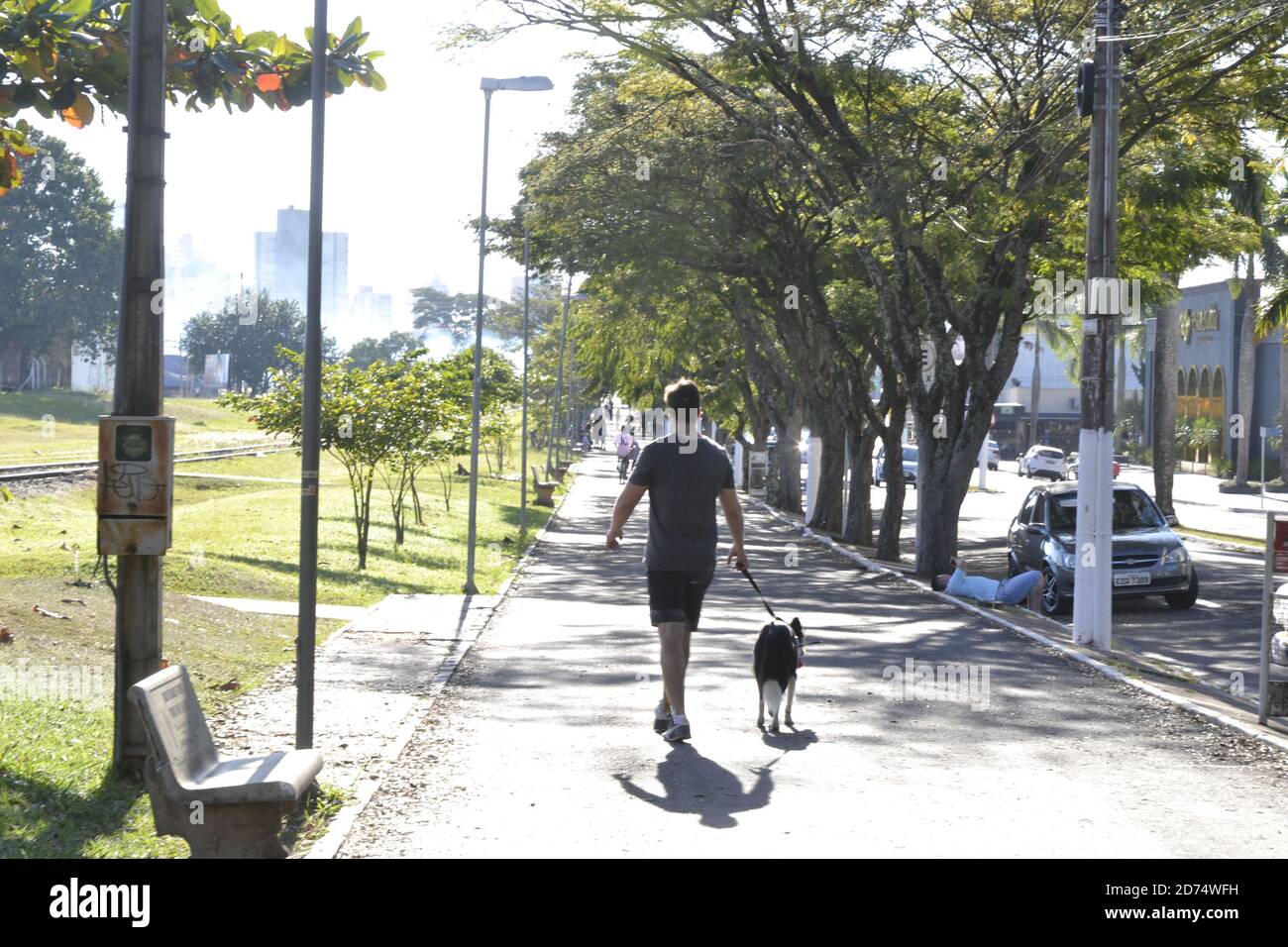 Un jeune homme marche sur la piste de jogging avec un chien collie sur une laisse, dans une ville à l'intérieur de Sao Paulo, au Brésil Banque D'Images