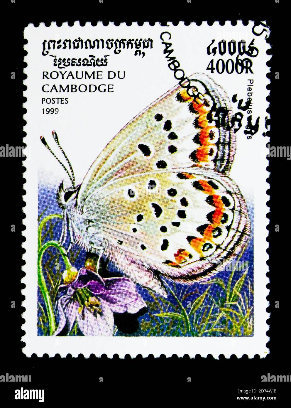 MOSCOU, RUSSIE - 24 NOVEMBRE 2017 : un timbre imprimé au Cambodge montre du bleu à clous d'argent (Plebeius argus), une série de papillons, vers 1999 Banque D'Images