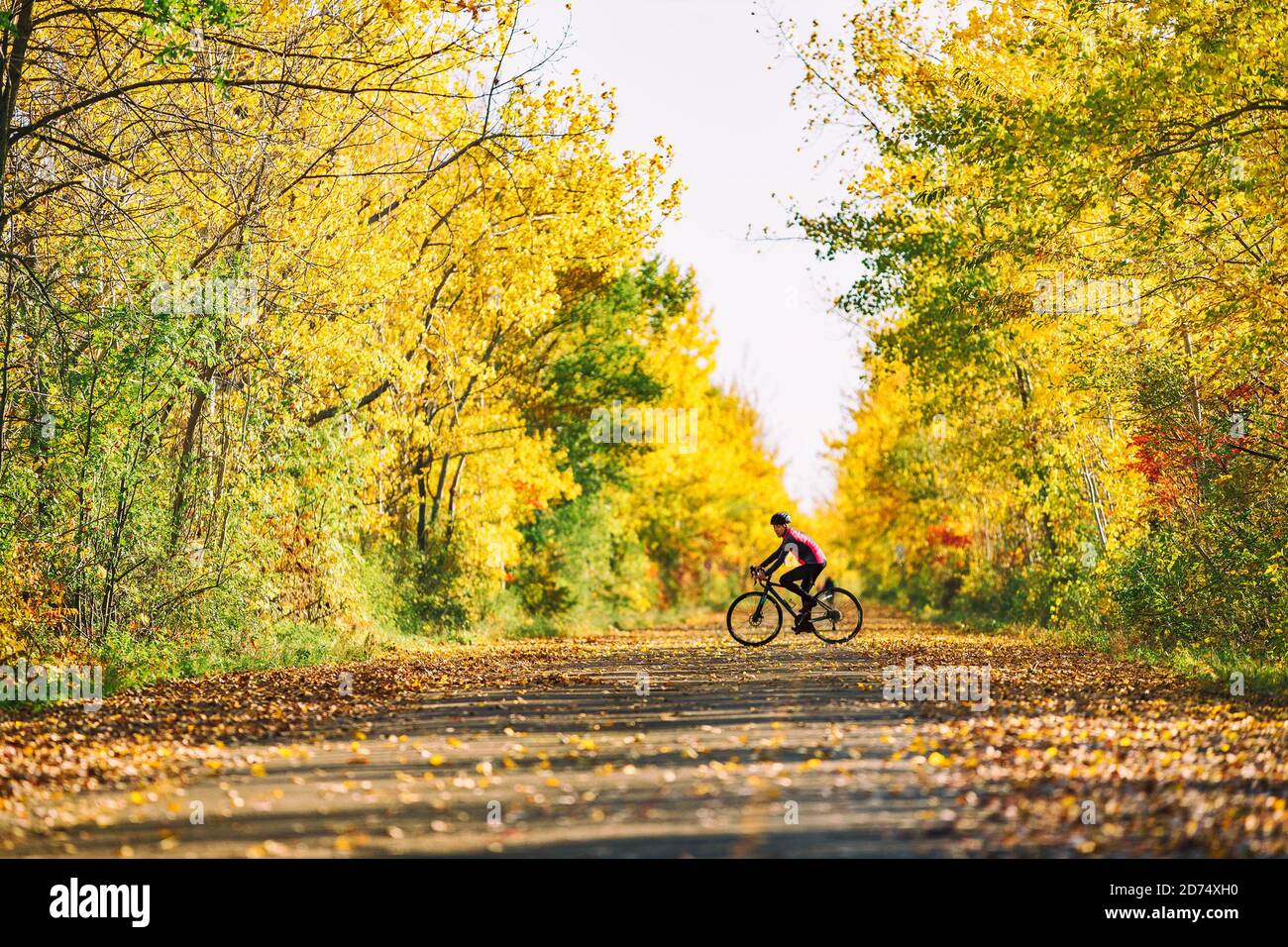 Sports vélo d'extérieur exercice femme vélo sur la route vélo dans la nature du parc. Automne automne feuillage arbres vélo paysage Banque D'Images