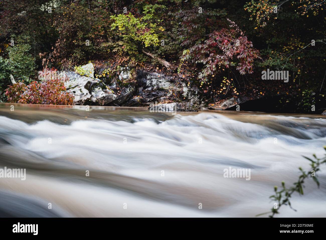 L'eau qui se précipite dans un ruisseau Banque D'Images