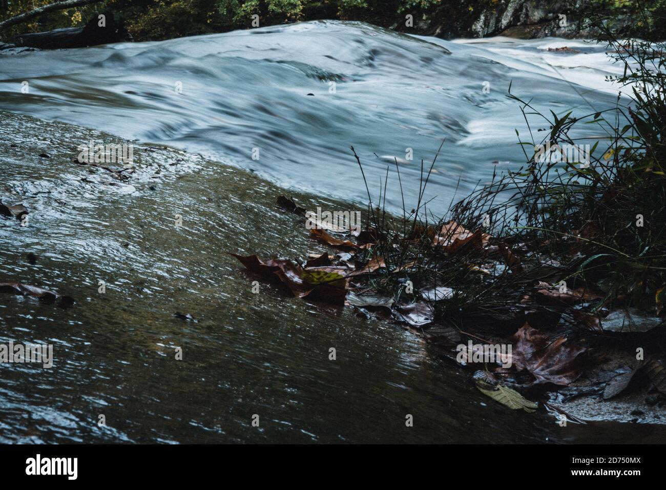 L'eau qui se précipite dans un ruisseau Banque D'Images