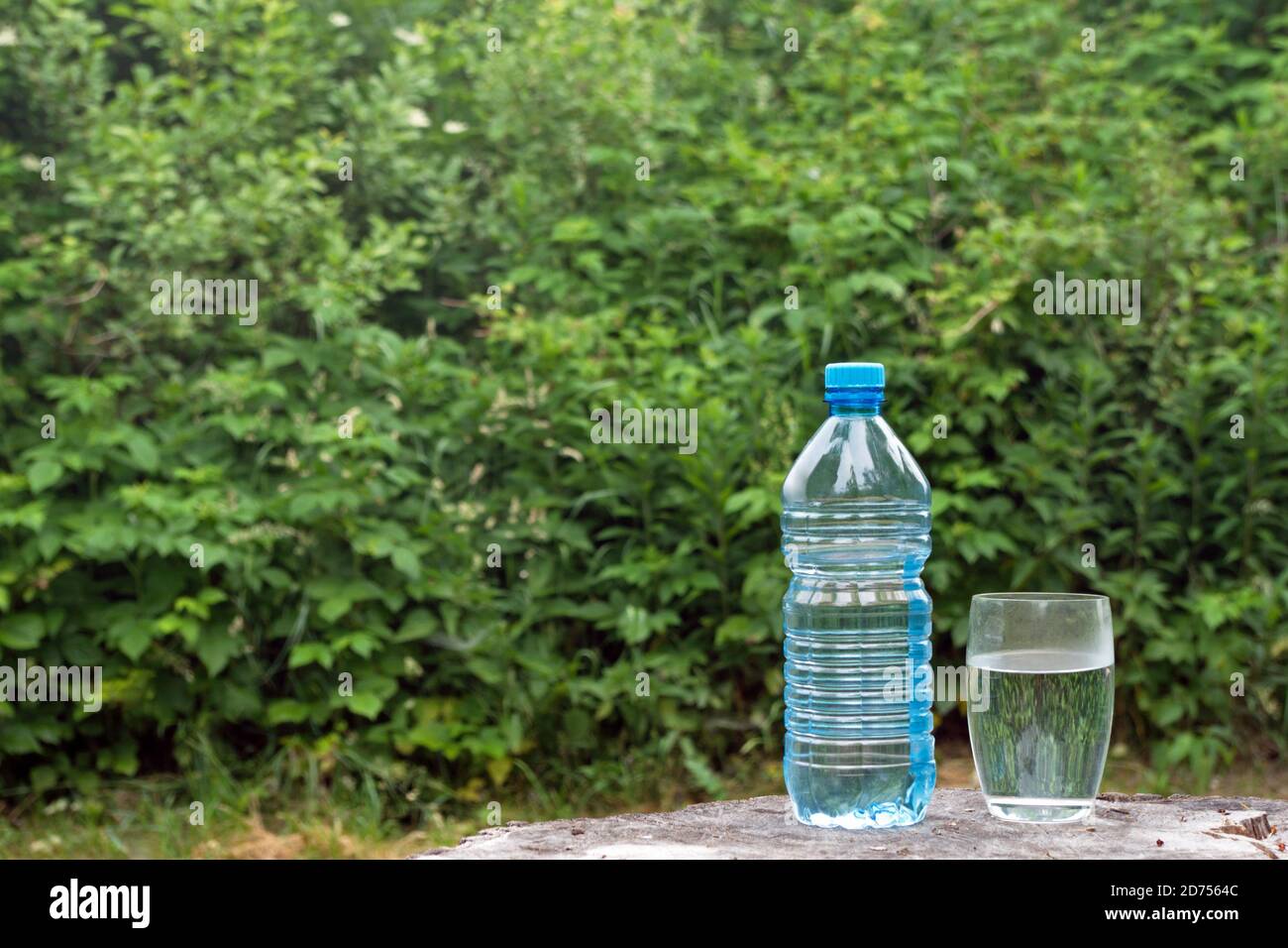 Bouteille d'eau et verre rempli d'eau sur la surface de la souche contre le feuillage vert. Concept: Aqua donnant la vie et la soif qui s'étouffent dans le sein de la nature Banque D'Images