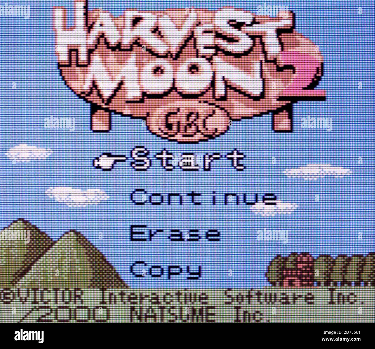 Harvest Moon 2 - jeu Nintendo Boy Color Videogame - Usage éditorial uniquement Banque D'Images