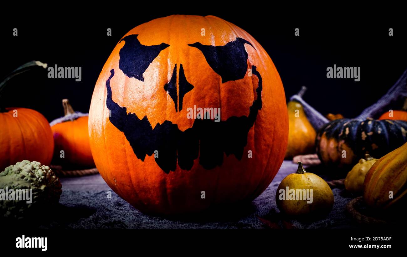 Citrouille automne halloween sombre paysage de nuit. Une lanterne et des araignées effrayantes marchent entre les citrouilles. Scène effrayante d'halloween Banque D'Images