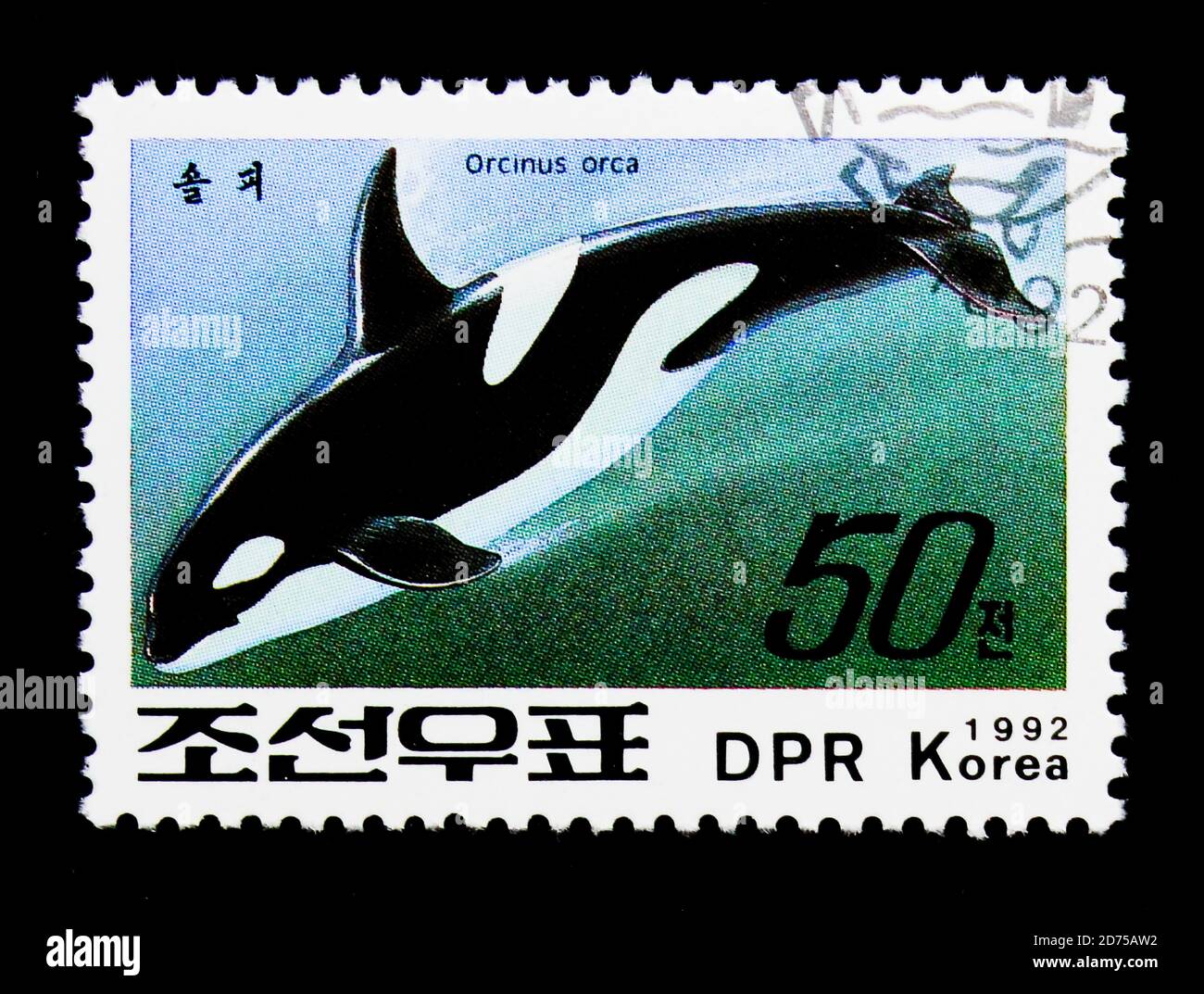 MOSCOU, RUSSIE - 25 NOVEMBRE 2017 : un timbre imprimé en république populaire démocratique de Corée montre la Baleine noire (Orcinus orca), série, vers 1992 Banque D'Images