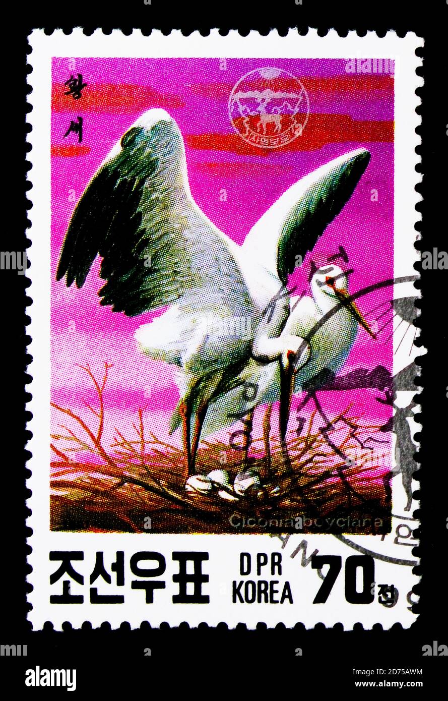 MOSCOU, RUSSIE - 25 NOVEMBRE 2017 : un timbre imprimé en république populaire démocratique de Corée montre le porc blanc oriental (Ciconia ciconia boyciana), en Banque D'Images