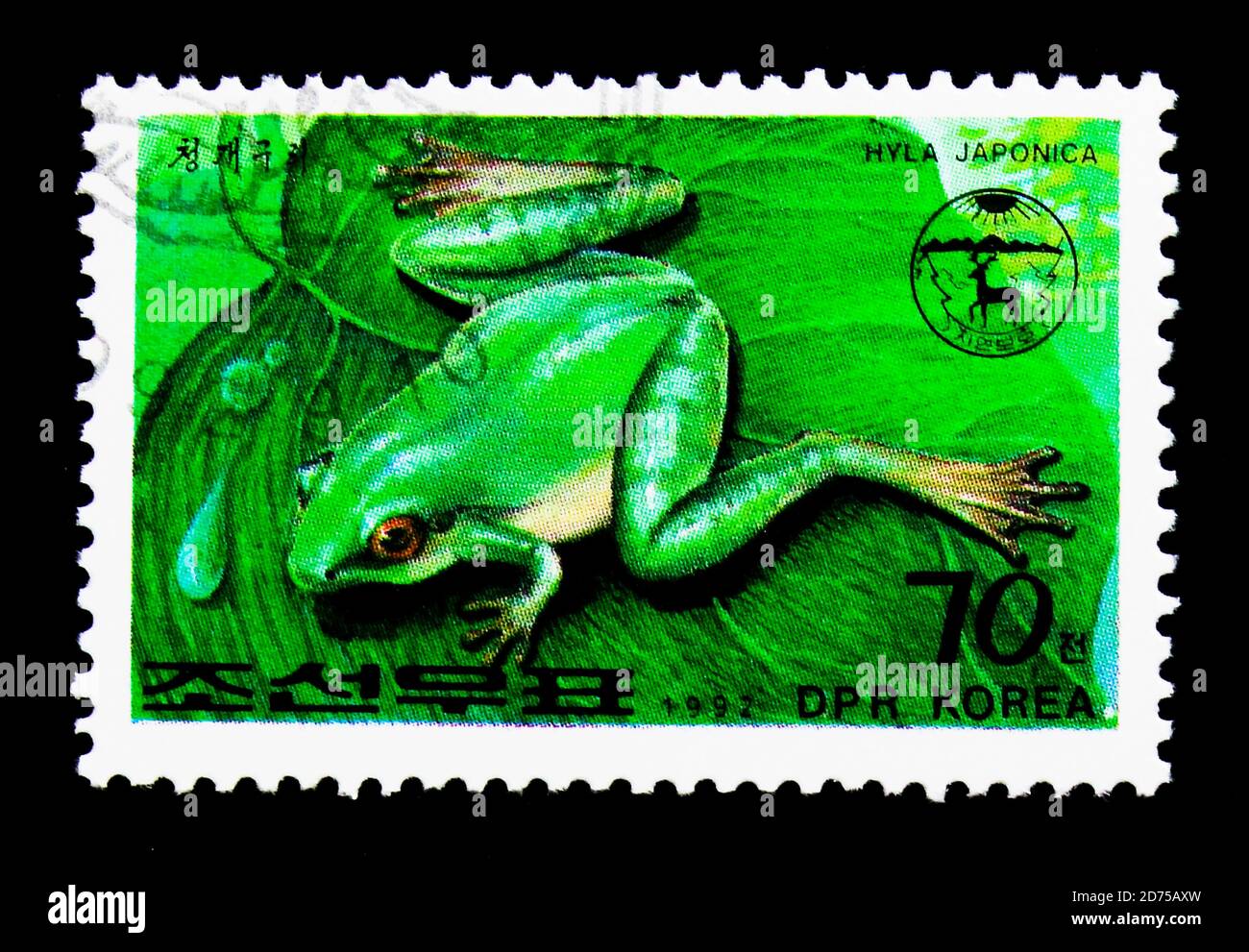 MOSCOU, RUSSIE - 25 NOVEMBRE 2017 : un timbre imprimé en république populaire démocratique de Corée montre la grenouille japonaise (Hyla japonica), série, vers 19 Banque D'Images