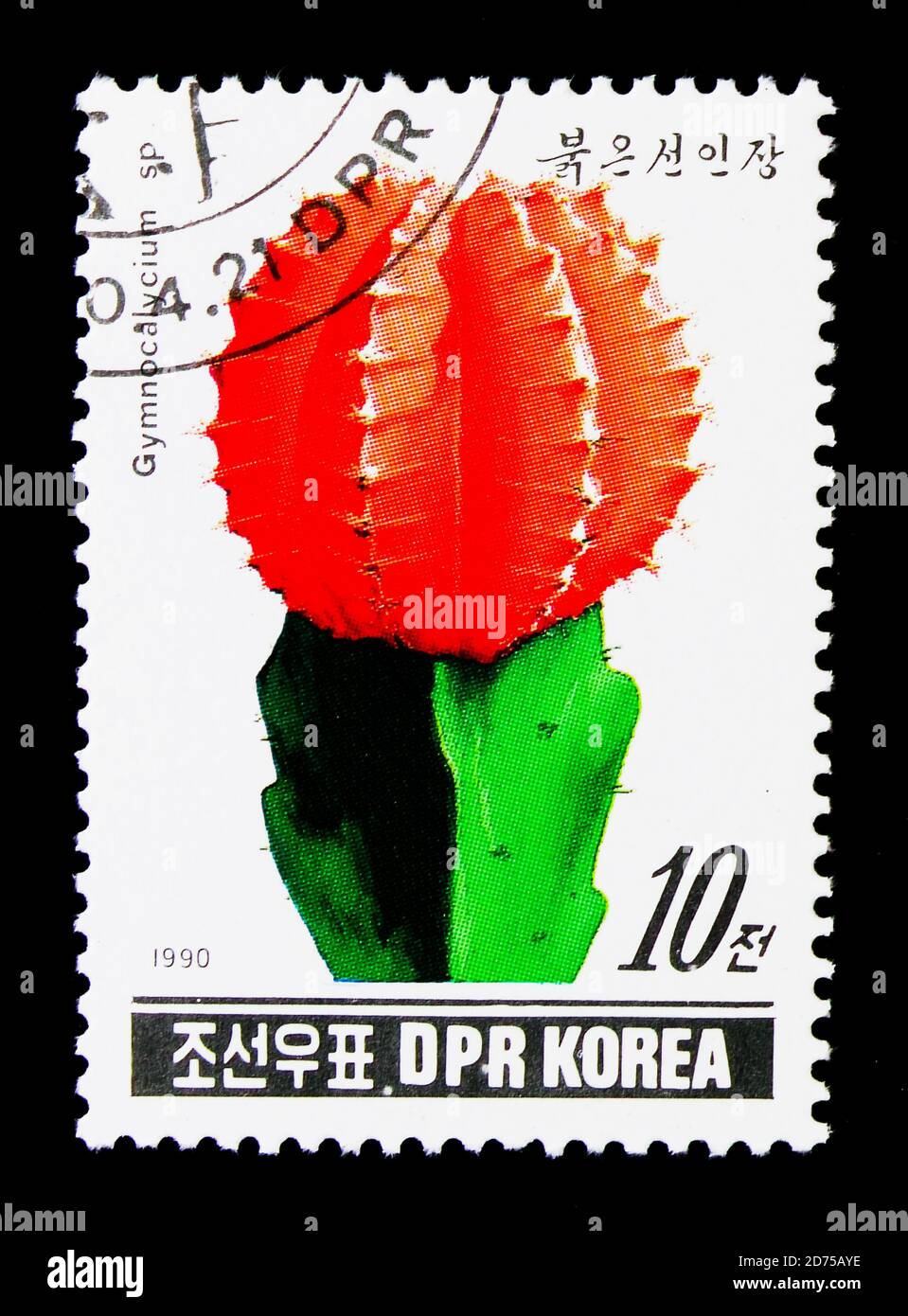 MOSCOU, RUSSIE - 25 NOVEMBRE 2017 : un timbre imprimé en république populaire démocratique de Corée montre Gymnocalycium sp, Cacti série, vers 1990 Banque D'Images
