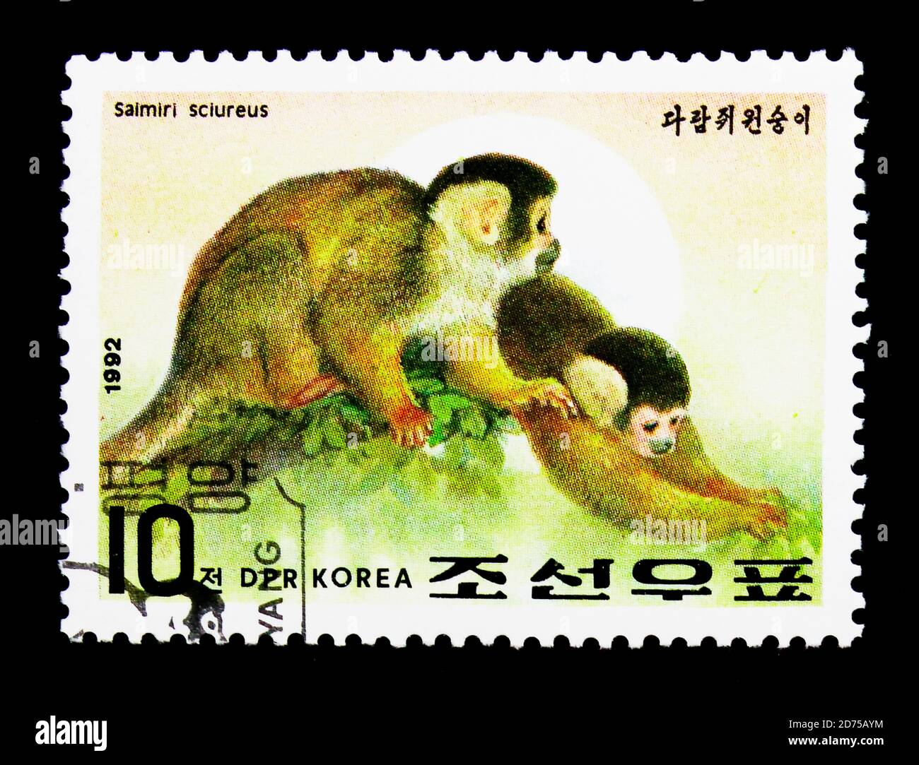MOSCOU, RUSSIE - 25 NOVEMBRE 2017 : un timbre imprimé en république populaire démocratique de Corée montre le singe commun d'écureuil (Saimiri sciurus), année de Banque D'Images