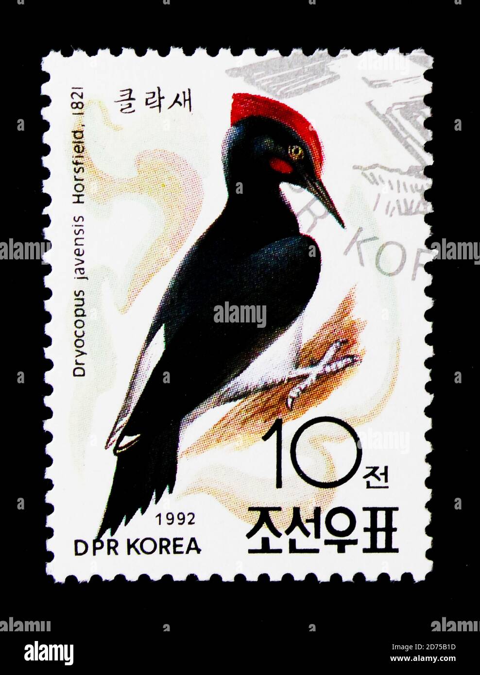 MOSCOU, RUSSIE - 25 NOVEMBRE 2017 : un timbre imprimé en république populaire démocratique de Corée montre le pic à ventre blanc (Dryocopus javensis), Orni Banque D'Images