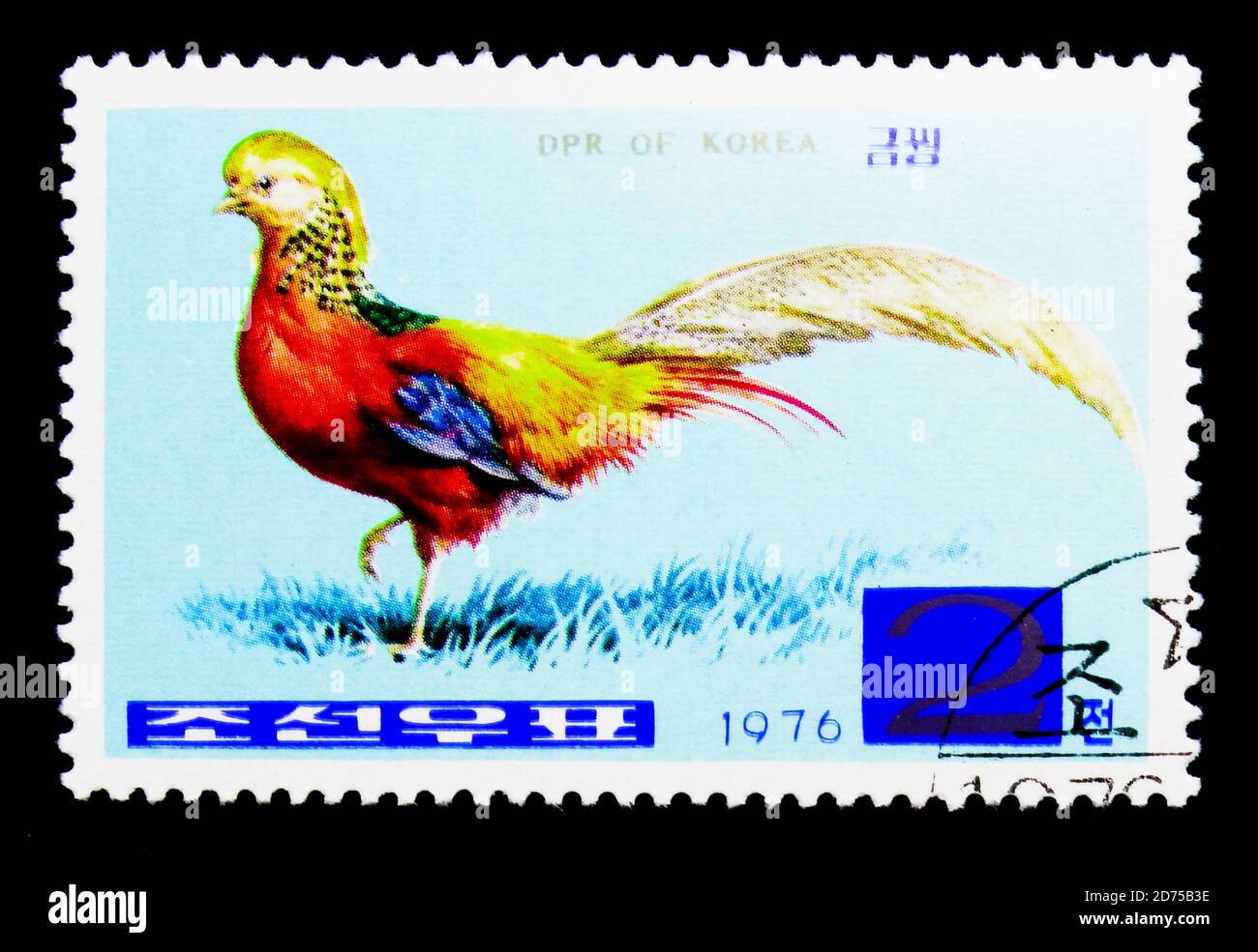 MOSCOU, RUSSIE - 25 NOVEMBRE 2017 : un timbre imprimé en république populaire démocratique de Corée montre le faisan d'or (Chrysolophus pictus), série, vers Banque D'Images