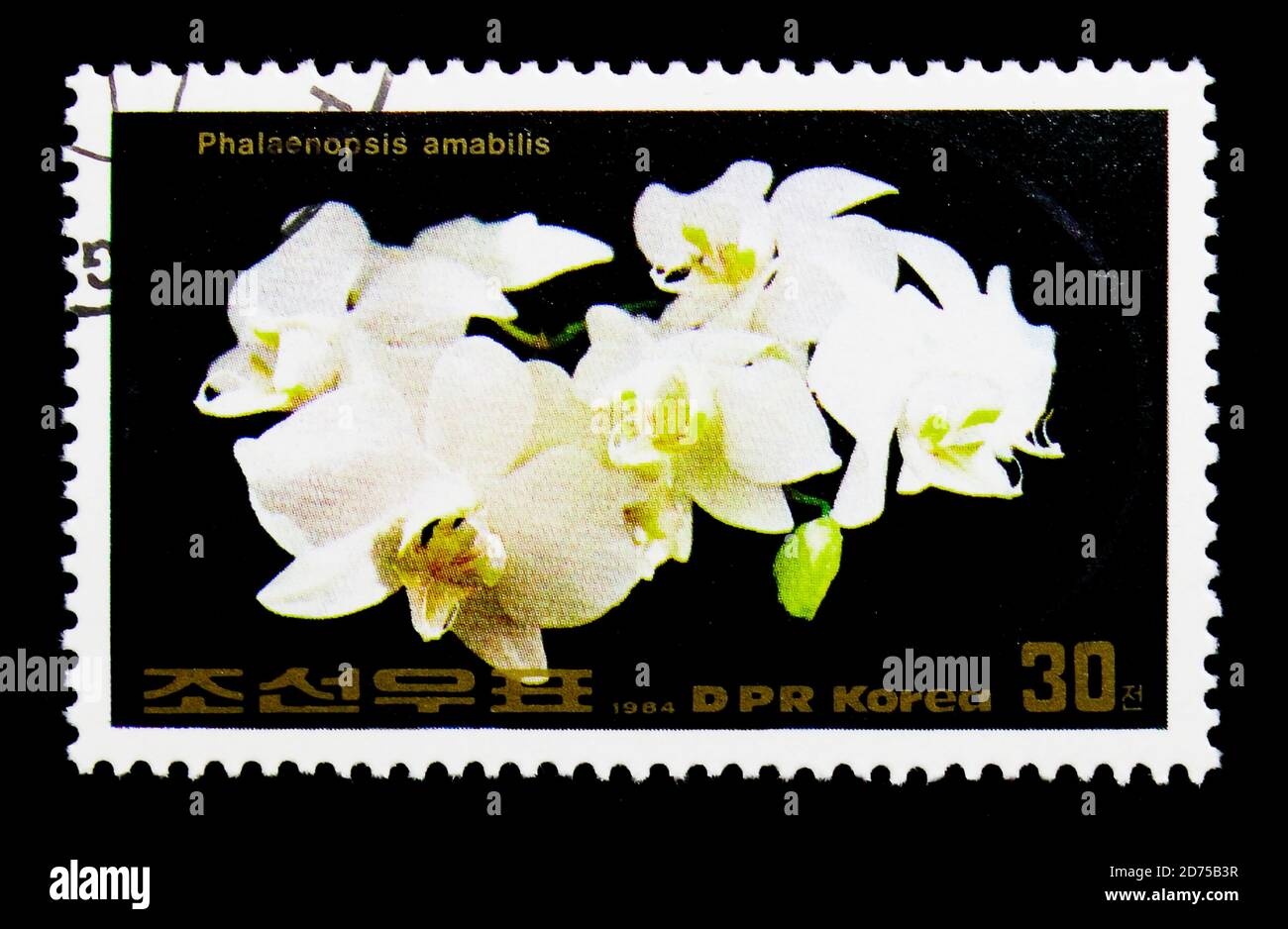 MOSCOU, RUSSIE - 25 NOVEMBRE 2017 : un timbre imprimé en république populaire démocratique de Corée montre Phalaenopsis amabilis, série de fleurs, vers 1984 Banque D'Images