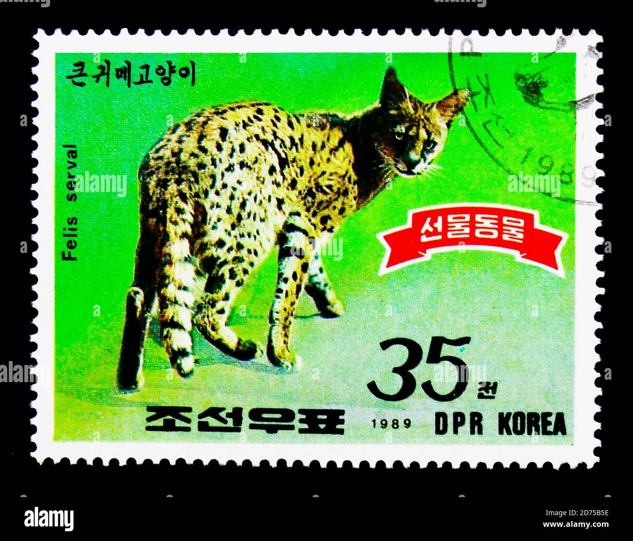 MOSCOU, RUSSIE - 25 NOVEMBRE 2017 : un timbre imprimé en république populaire démocratique de Corée montre Serval (Leptalurus serval), série animaux, vers 1 Banque D'Images