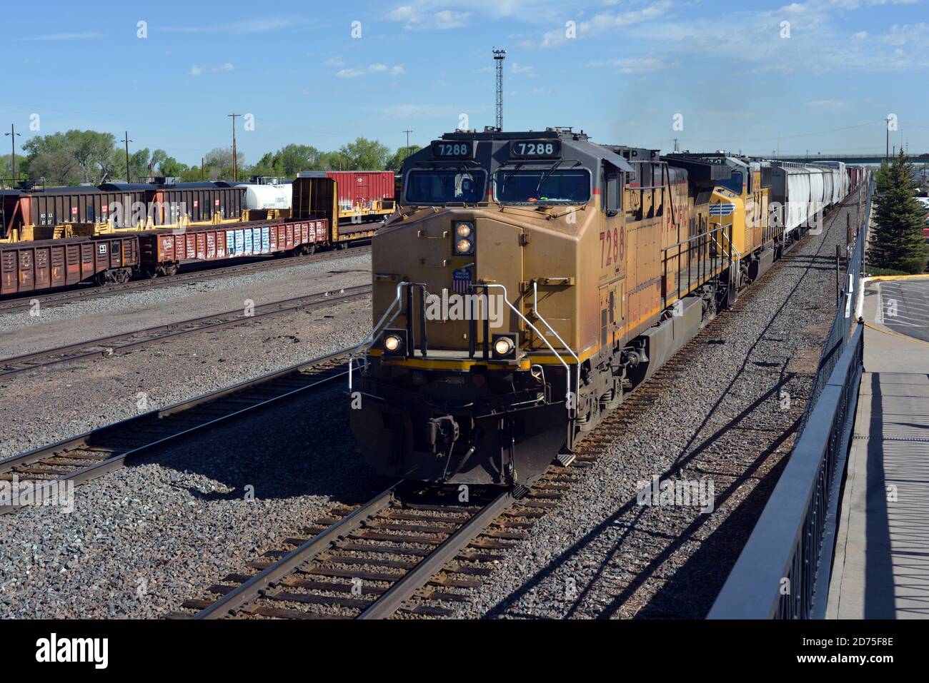 Deux locomotives diesel Union Pacific transportent un train de marchandises conteneurisées à travers Laramie, Wyoming, États-Unis, le matin de juin. Banque D'Images
