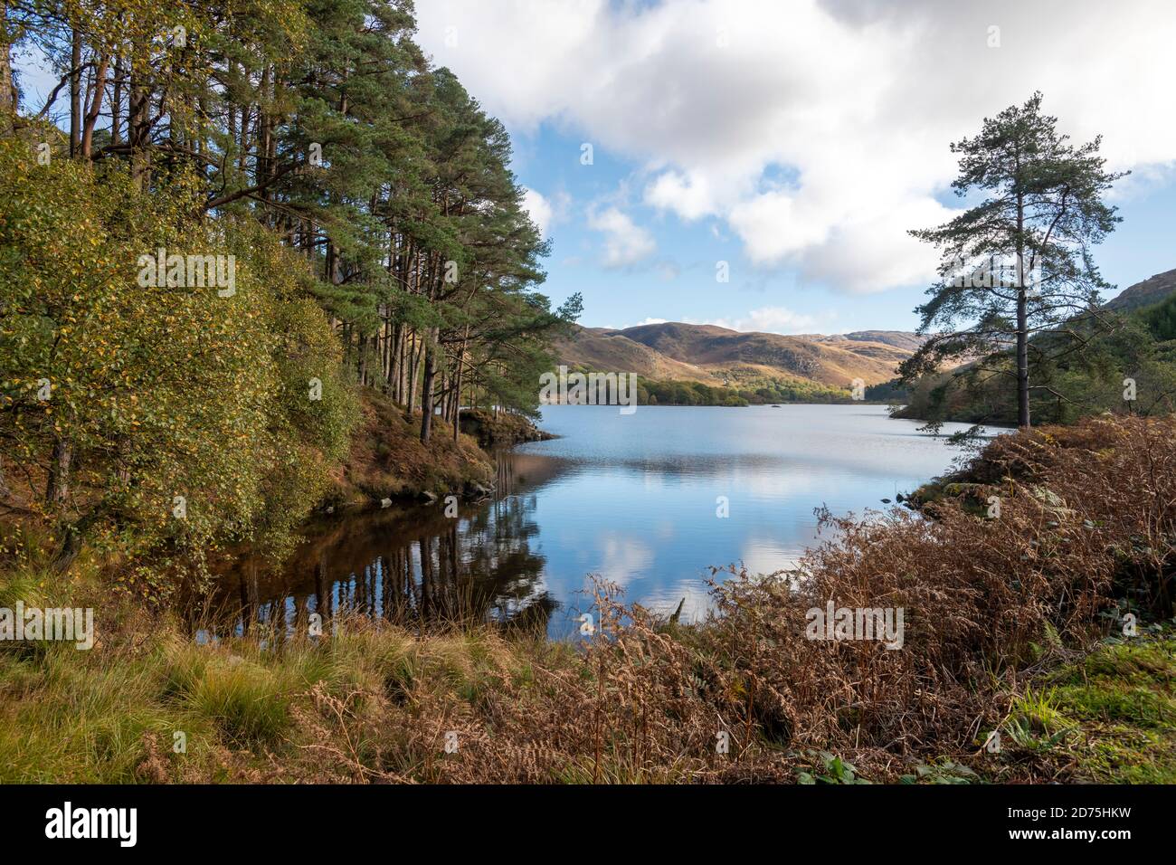 Réflexions ensoleillées sur le Loch Trool vues depuis la boucle du Loch Trool. Banque D'Images