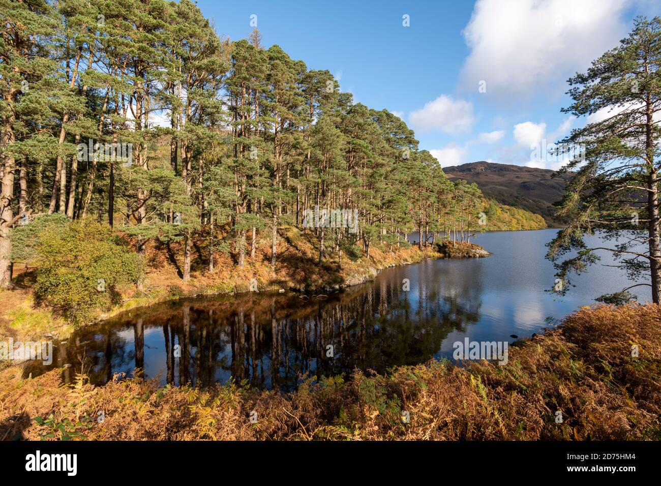 Réflexions ensoleillées sur le Loch Trool vues depuis la boucle du Loch Trool. Banque D'Images