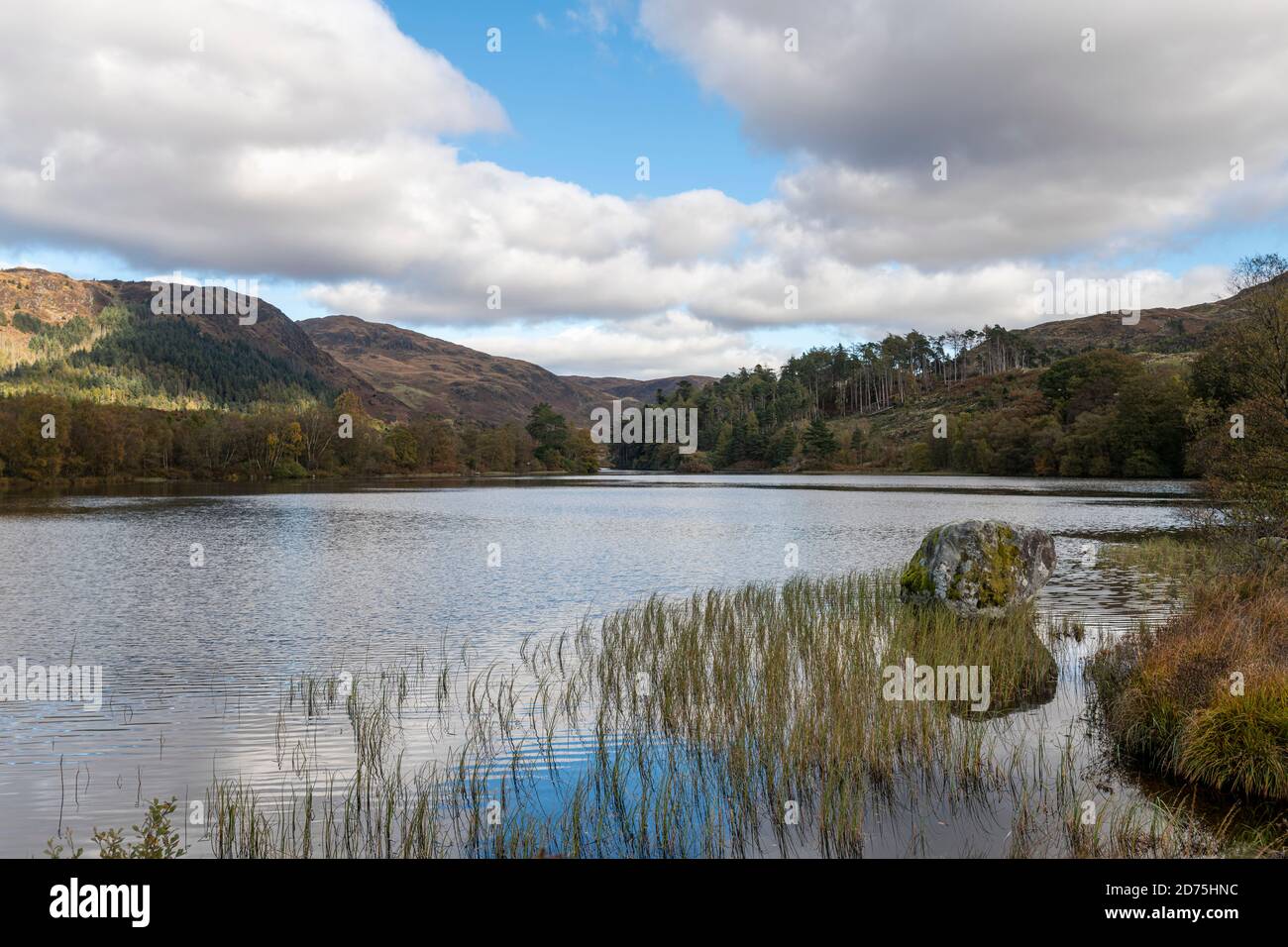 Loch Trool, parc forestier de Galloway par une journée d'automne lumineuse. Vue depuis la boucle du Loch Trool Banque D'Images