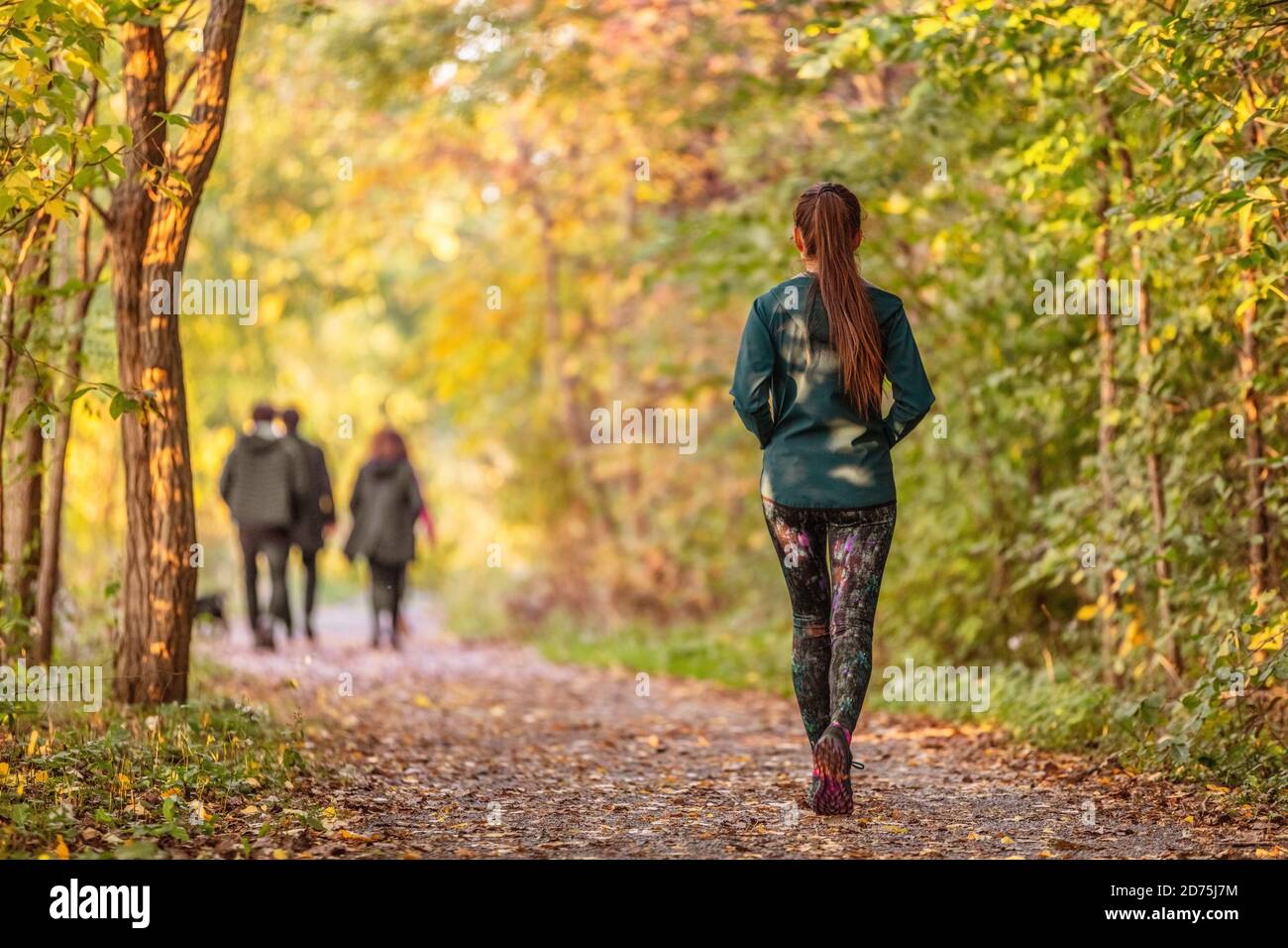 Femme marchant dans la forêt d'automne sentier de la nature marcher sur le fond de bois de sentier. Bonne fille se détendant sur une activité active en plein air Banque D'Images