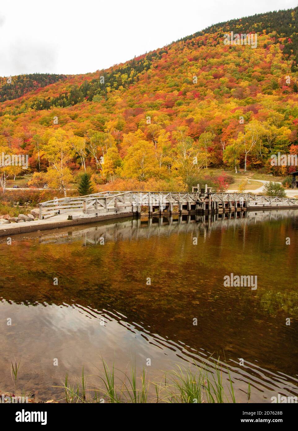 Magnifique feuillage d'automne arbres colorés et sentier pittoresque Banque D'Images