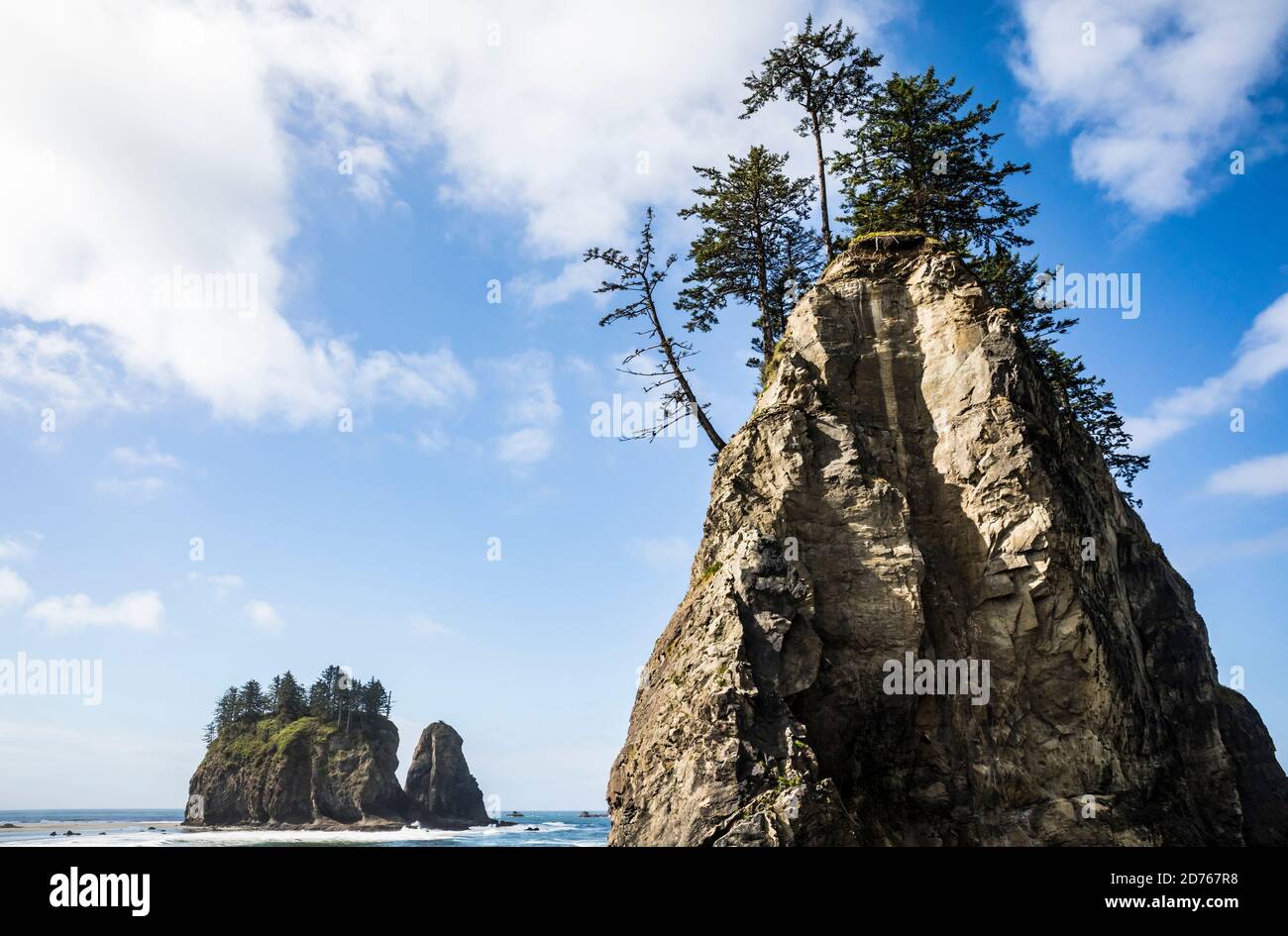 Piles de la mer au large de 2nd Beach, Olympic Coast National Marine Sanctuary / National Park, Washington, Etats-Unis. Banque D'Images