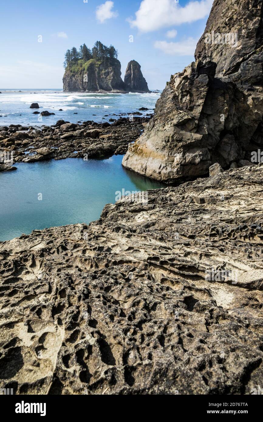 Seastacks au large de 2nd Beach, Olympic Coast National Marine Sanctuary / National Park, Washington, Etats-Unis. Banque D'Images