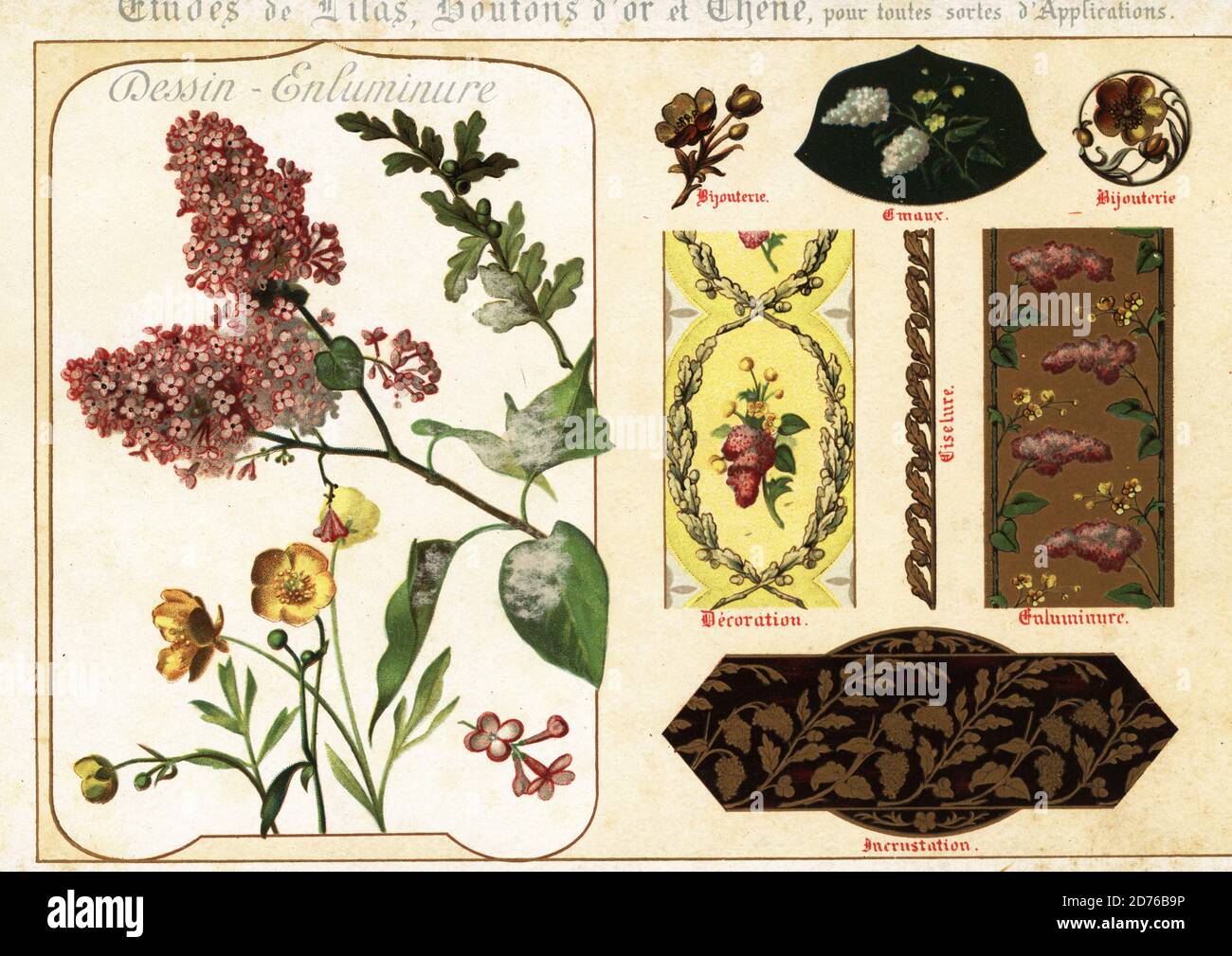 Images de lilas, de buttercup et de chêne de manuscrits et de leurs applications dans les bijoux, l'émail, la décoration, le ciselure et l'encroûtage. Chromolithographie conçue et lithographiée par Ernst Guillot à partir de ses fleurs après la nature et fleurs ornementales, fleurs d'apres nature et fleurs ornementales, Paris, 1890. Banque D'Images