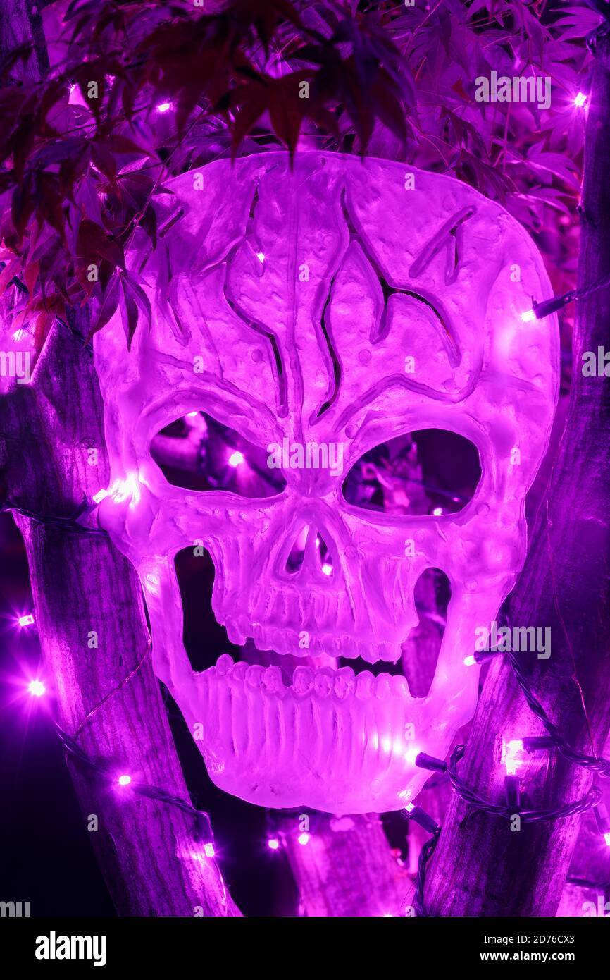 Décoration de nuit Halloween à motif tête de mort violette à motif de péléchage de sapin Banque D'Images