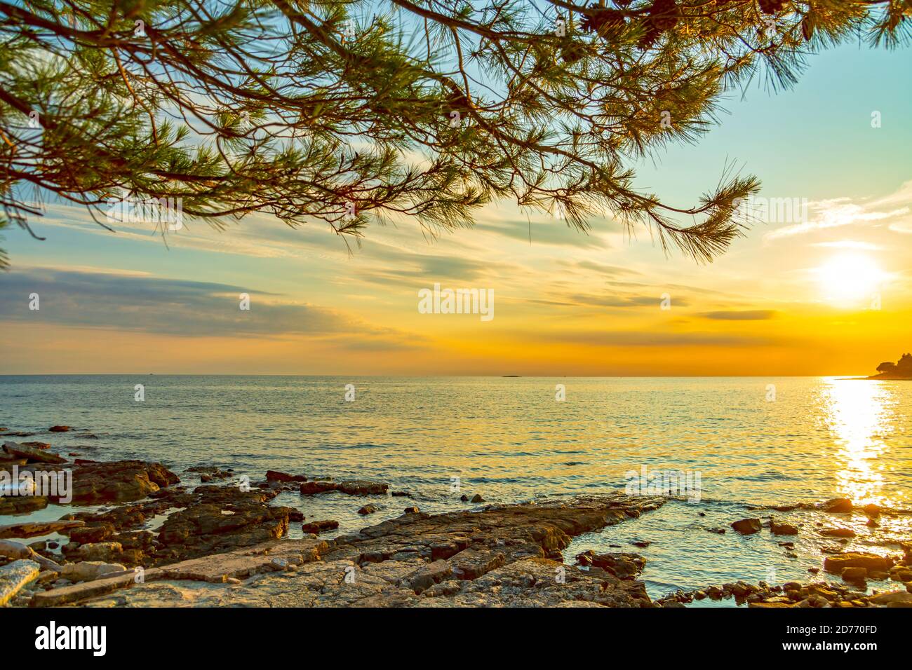 Mer Adriatique en Croatie au susnet par la mer Adriatique avec pinetree près de Pula, Valbandon, péninsule d'Istrie, plage de Barbariga. Banque D'Images