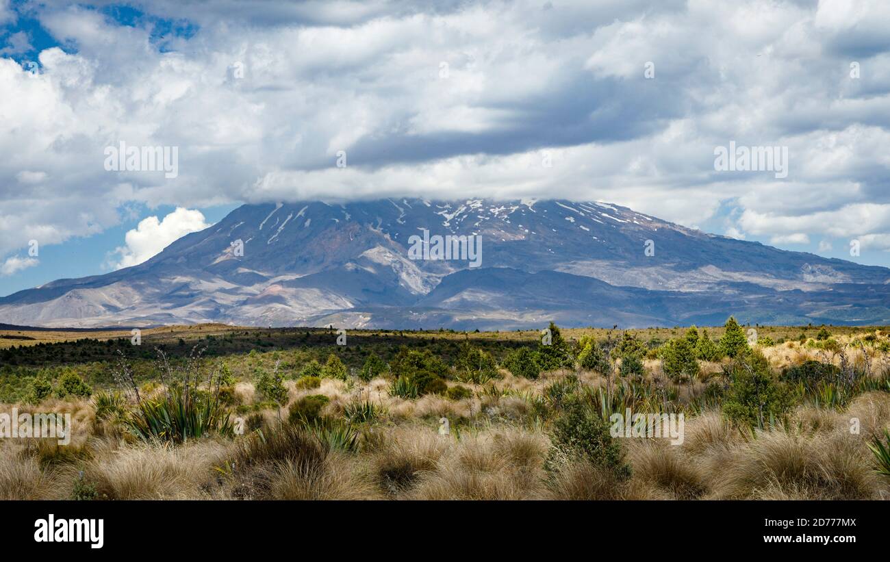 Partie du parc national de Tongariro sur l'île du Nord, Nouvelle-Zélande. Banque D'Images