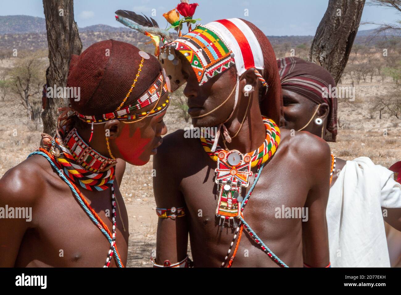 Jeunes hommes de la tribu Samburu. Les Samburu sont un peuple nilotique du centre-nord du Kenya. Les Samburu sont des pasteurs semi-nomades qui élèvent principalement des bovins Banque D'Images