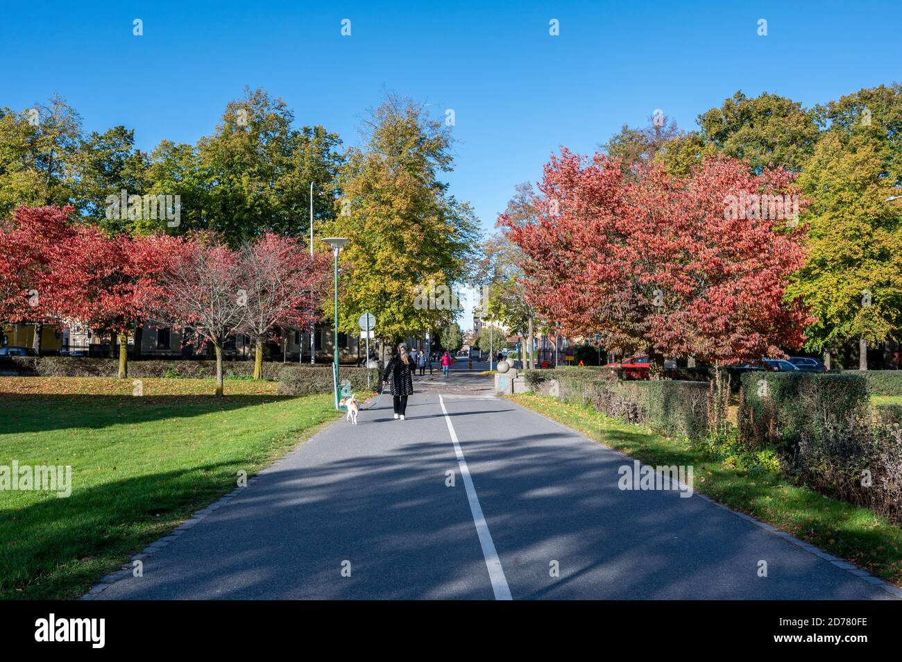 Marche en chiens un jour d'automne ensoleillé dans le parc de la ville de Vasaparken à Norrkoping, en Suède, à la mi-octobre 2020 Banque D'Images