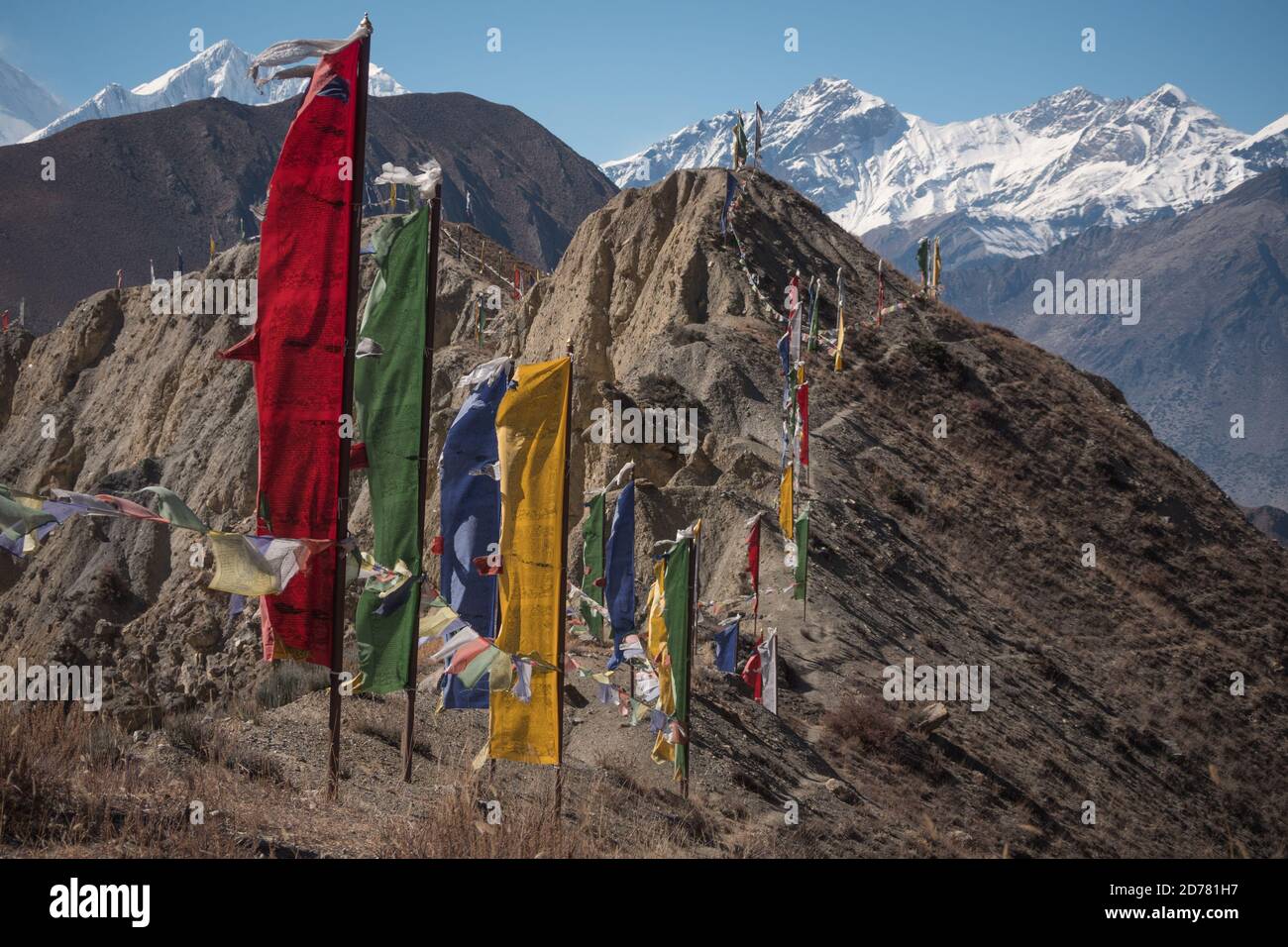 Népal. Drapeaux de prière bouddhistes verticaux et Himalaya, circuit Annapurna. Banque D'Images