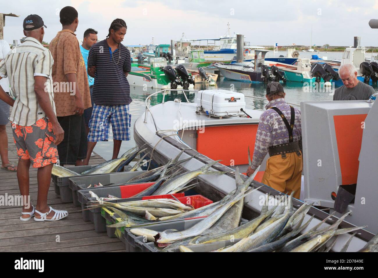 Port de Saint-François en Guadeloupe : retour du moment de pêche Photo  Stock - Alamy