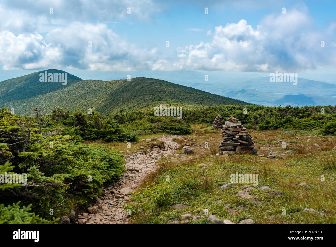 Summers sur le mont Moosilauke Banque D'Images