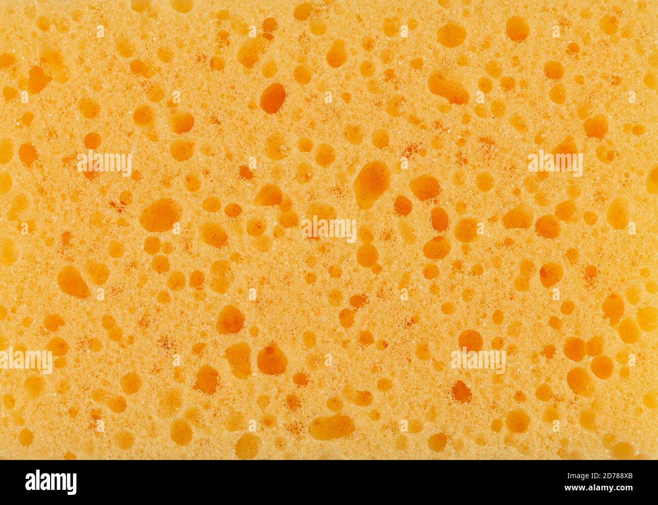 Surface de fond jaune texturé éponge gros plan Banque D'Images