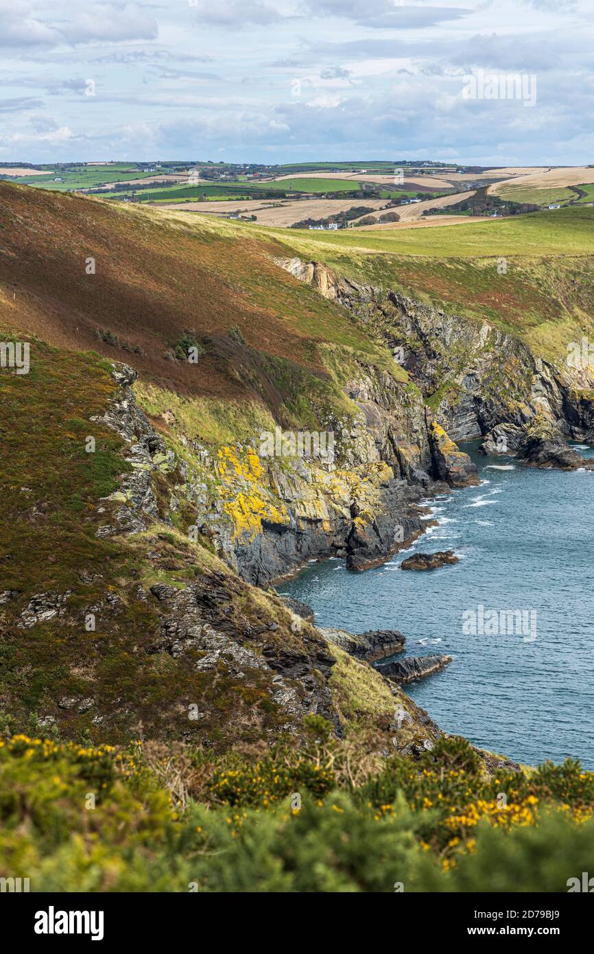 Vue sur le littoral depuis le point de Preghane à Kinsale, comté de Cork, Irlande Banque D'Images