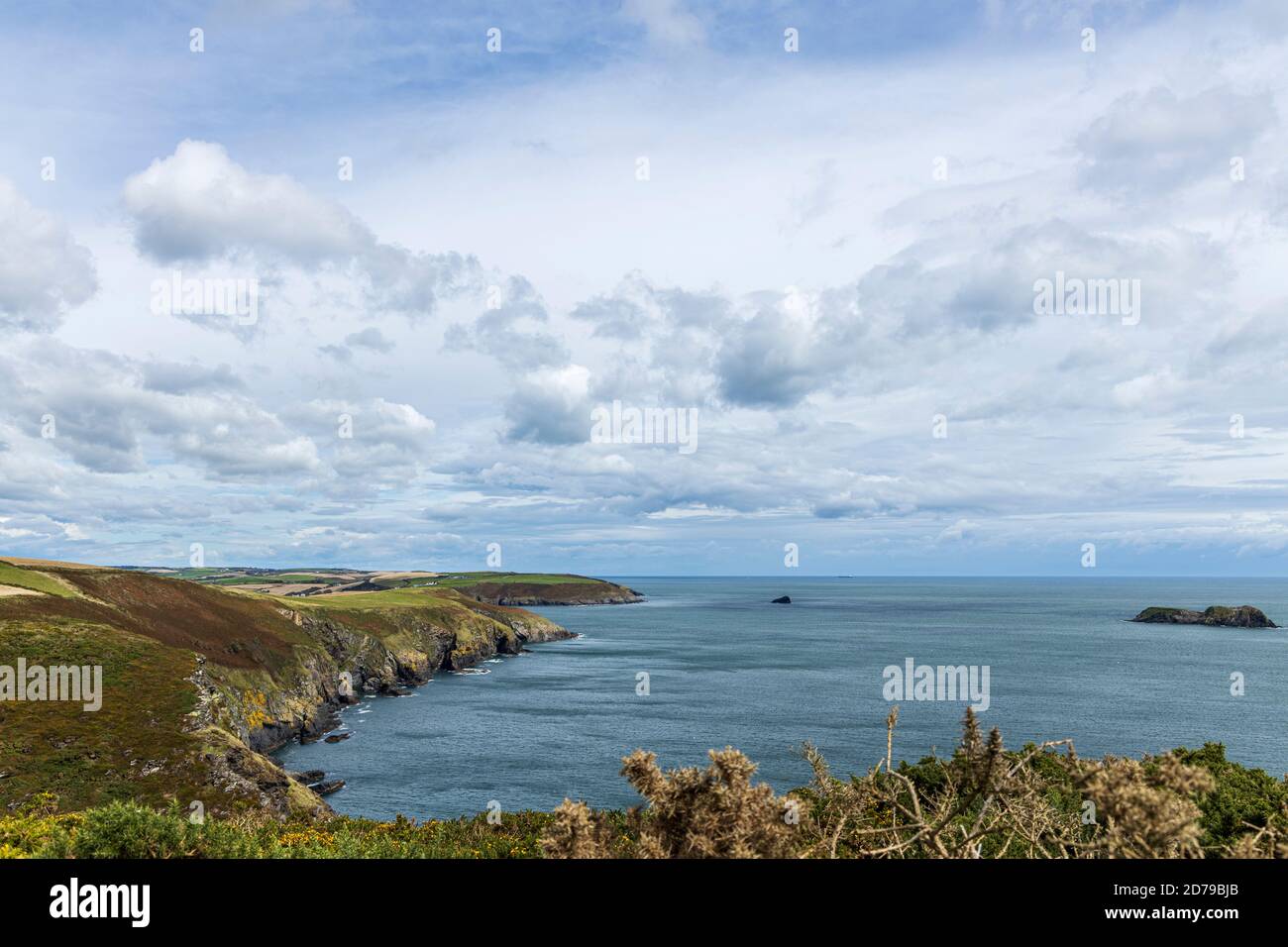 Vue sur le littoral depuis le point de Preghane à Kinsale, comté de Cork, Irlande Banque D'Images