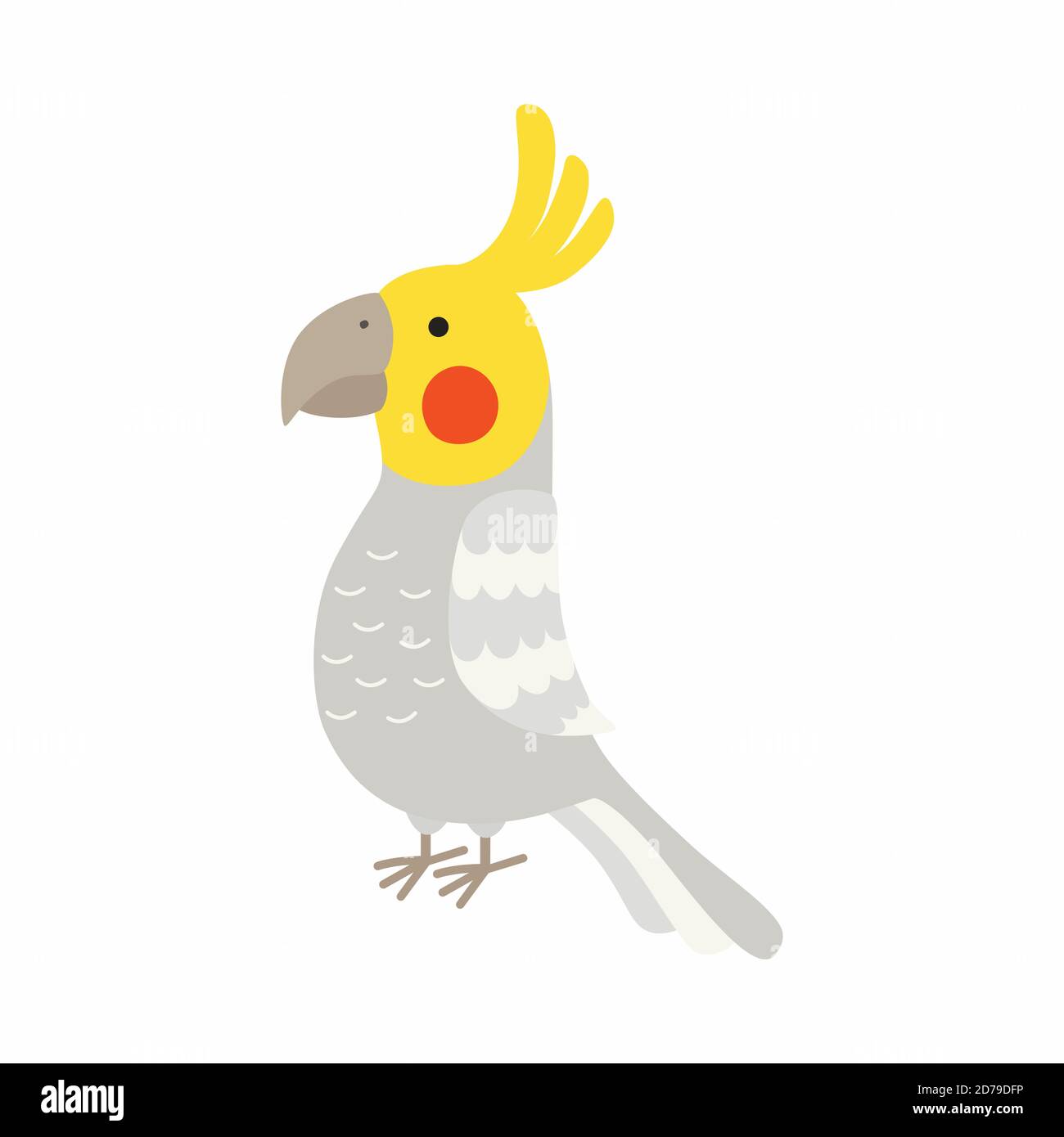 Perroquet adulte de cocatier gris normal. Nymphicus hollandicus, corella. Motif oiseau de dessin animé. Illustration vectorielle Illustration de Vecteur