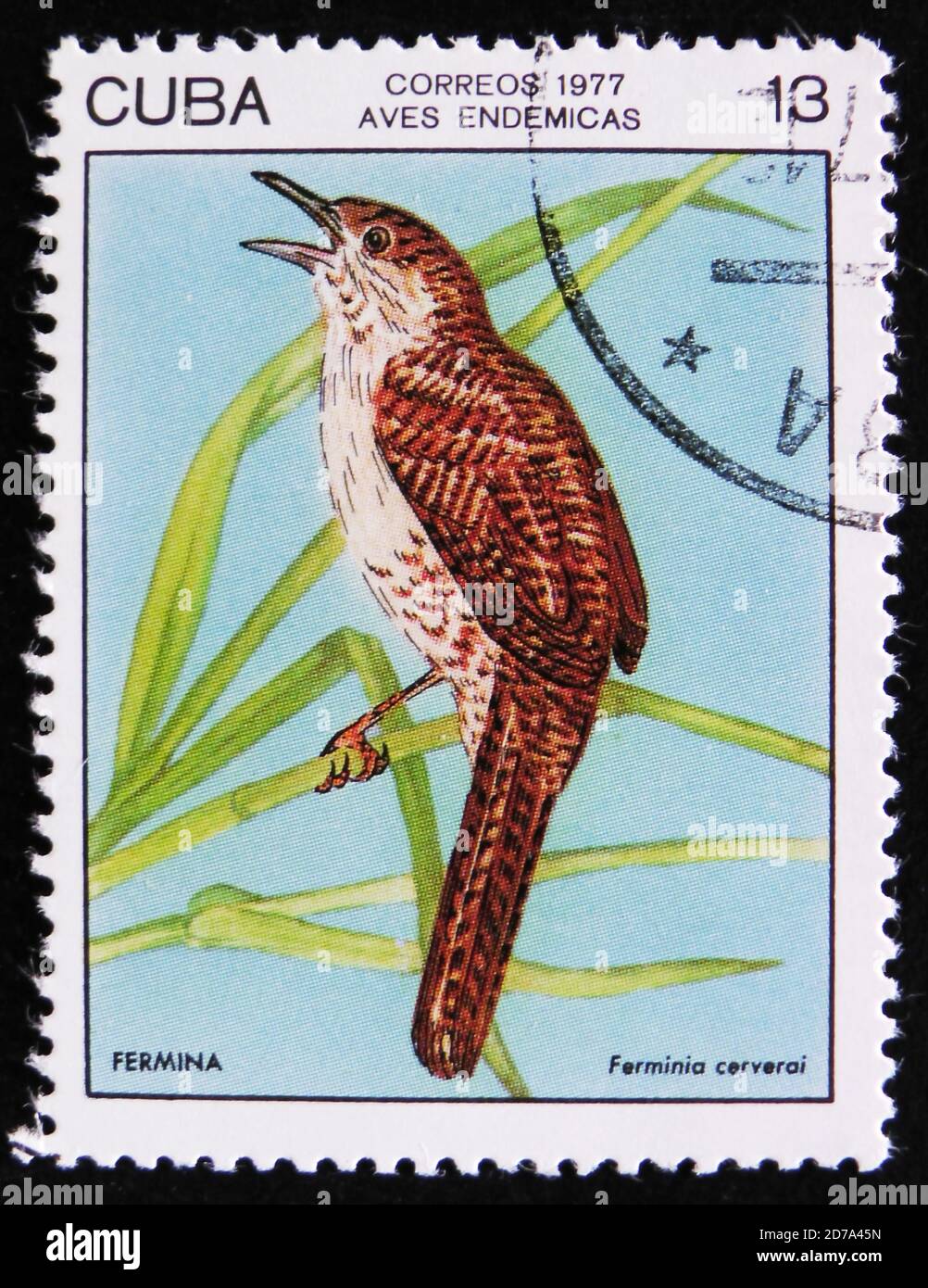 MOSCOU, RUSSIE - 2 AVRIL 2017 : un timbre de poste imprimé à Cuba montre l'oiseau Fermina ou Zapata wren (Ferminia cerverai), timbre est de la série, circ Banque D'Images