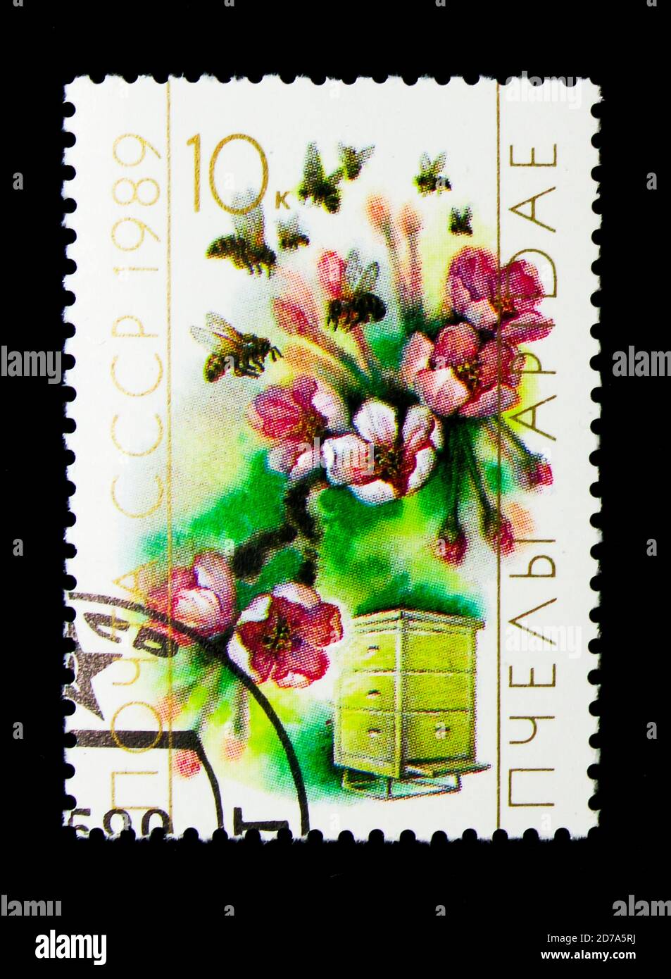 MOSCOU, RUSSIE - 26 NOVEMBRE 2017 : un timbre imprimé en URSS (Russie) montre Honeybee (APIS mellifica), fleurs et ciboulette, série apicole, vers 1989 Banque D'Images