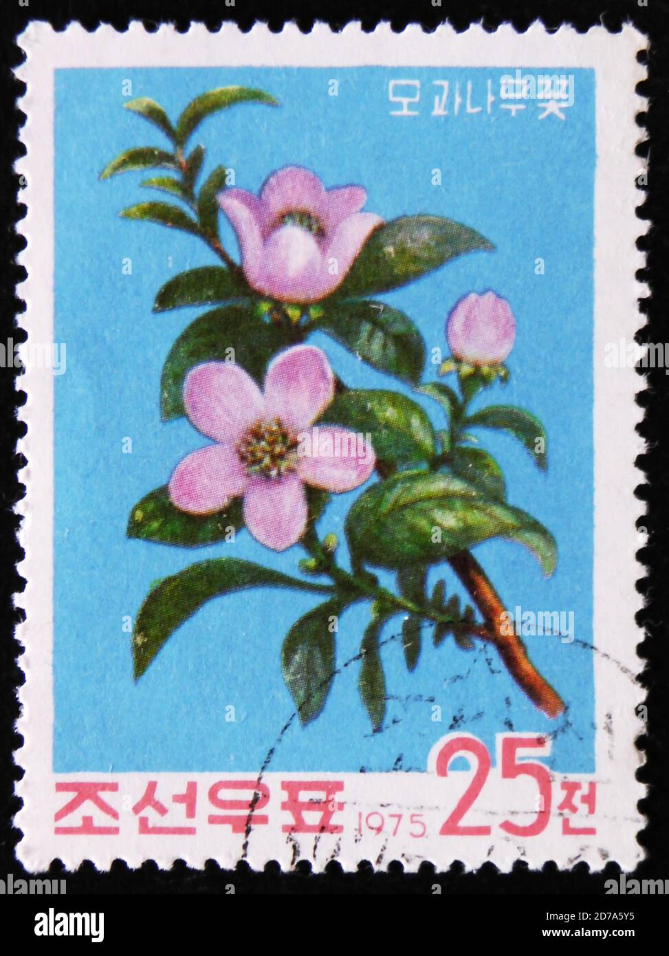 MOSCOU, RUSSIE - 2 AVRIL 2017 : un timbre de poste imprimé en République de Corée montre des coings chinois de fleurs, série, vers 1975 Banque D'Images