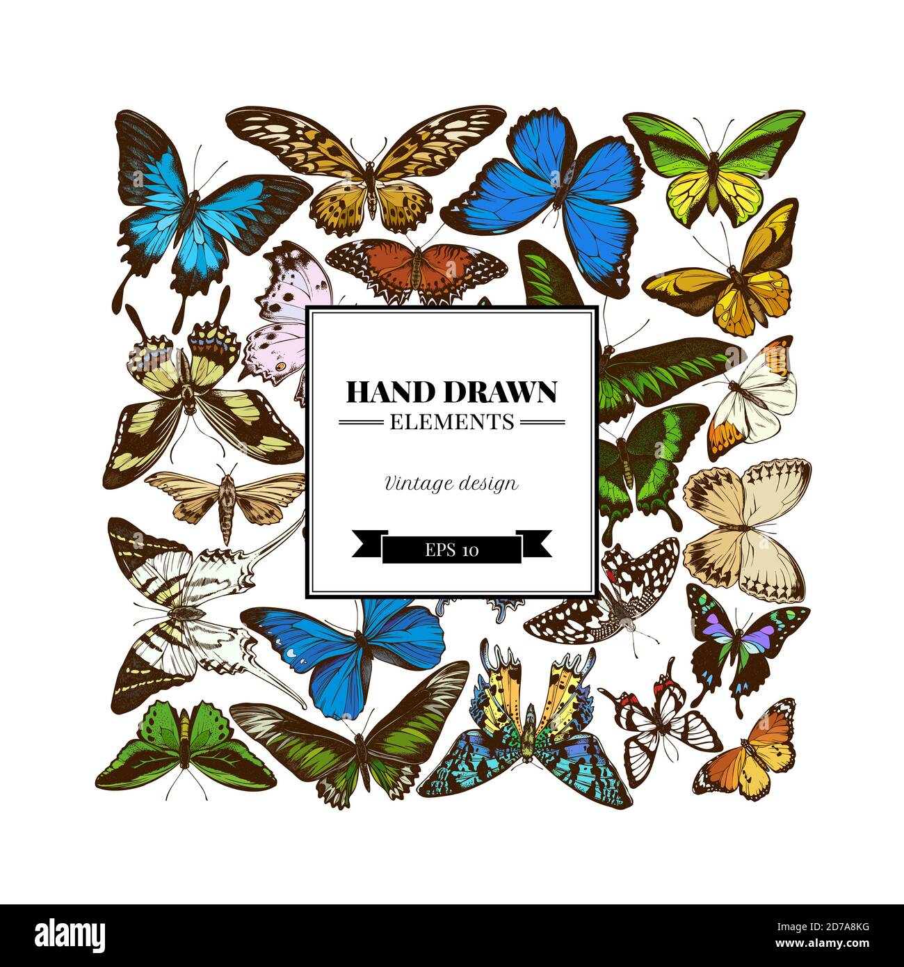 Motif carré avec pointe orange colorée, queue d'allowtail émeraude, reines de la jungle, tigre Uni, aile d'oiseaux de rajah brooke, papilio torquatus, queue d'allowtail Illustration de Vecteur