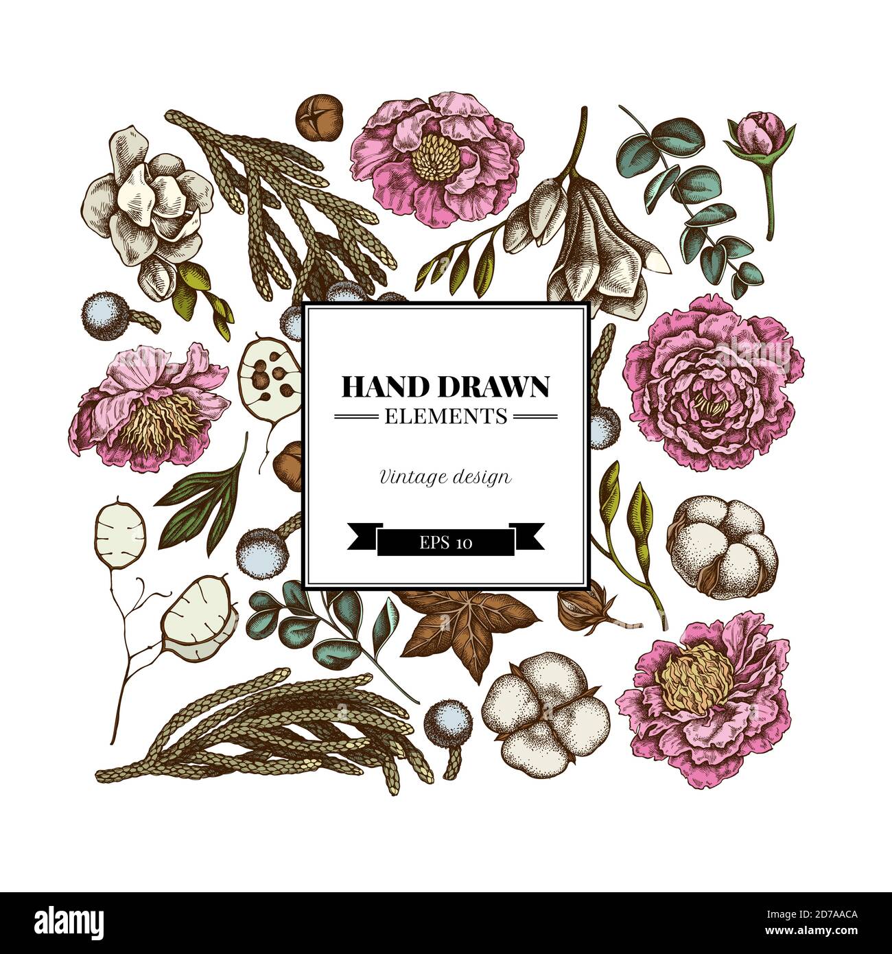 Motif floral carré avec ficus coloré, eucalyptus, pivoine, coton, freesia, brunia Illustration de Vecteur