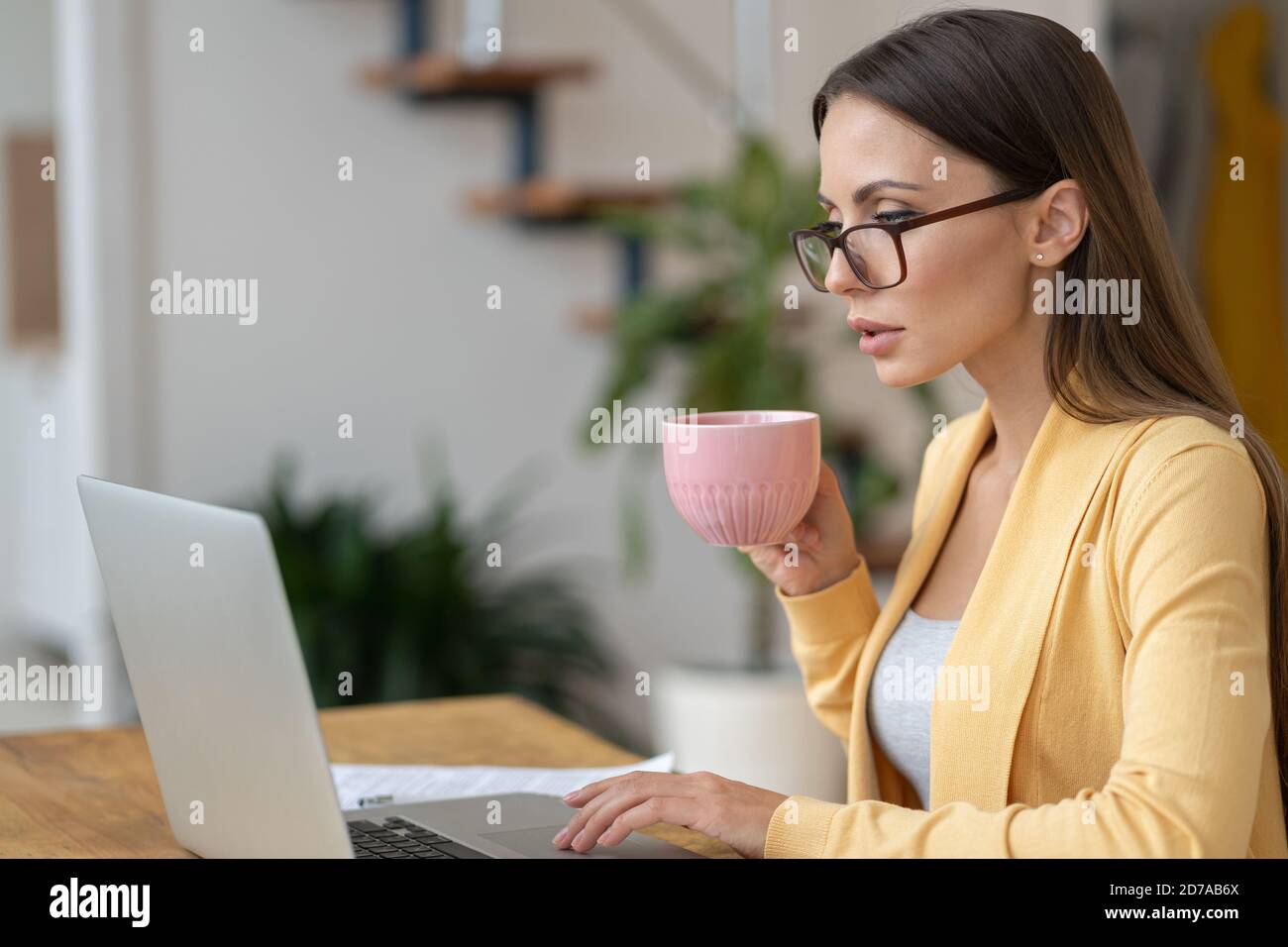 Femme millénaire concentrée en lunettes assise sur une table, tenant une tasse de thé, travaillant à distance sur un ordinateur portable, analysant les informations statistiques du projet, réponses à Banque D'Images