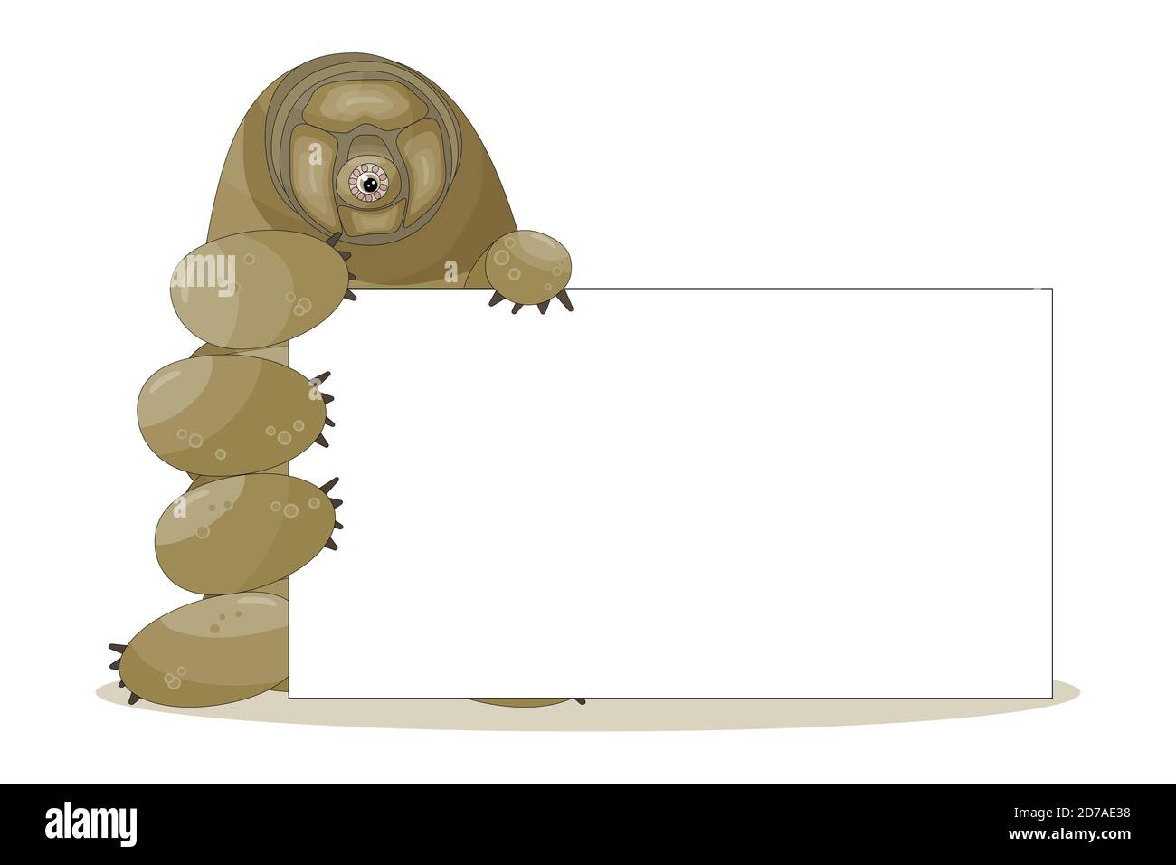 Marron mignon adorable adorable dessin animé caractère tardigrade contient une zone de texte vide ou tableau blanc entre les mains avec un message Illustration de Vecteur