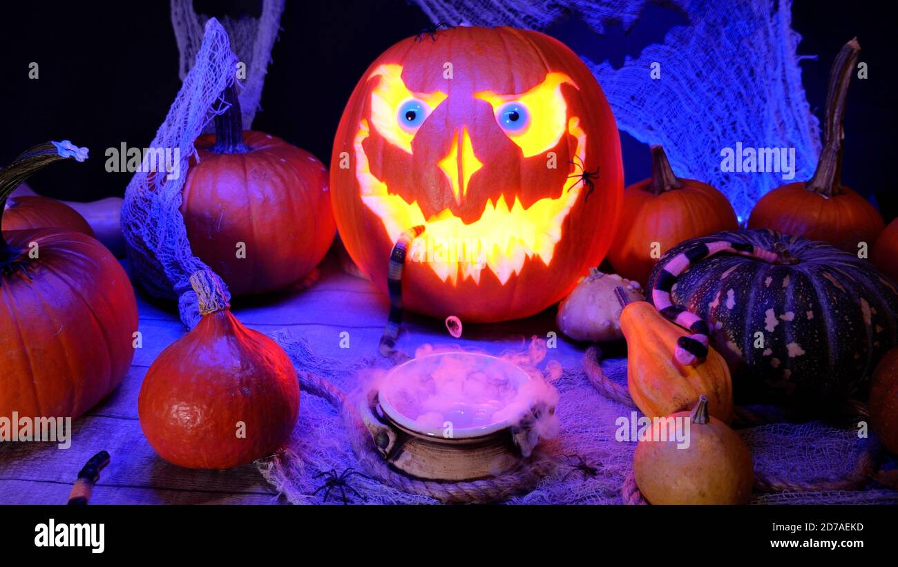 Halloween citrouille Jack o lanterne et potion de cuisine dans un chou-fleur de sorcière. Décoration de fête d'Halloween sur un arrière-plan effrayant. Parfait citrouille sculptée Banque D'Images