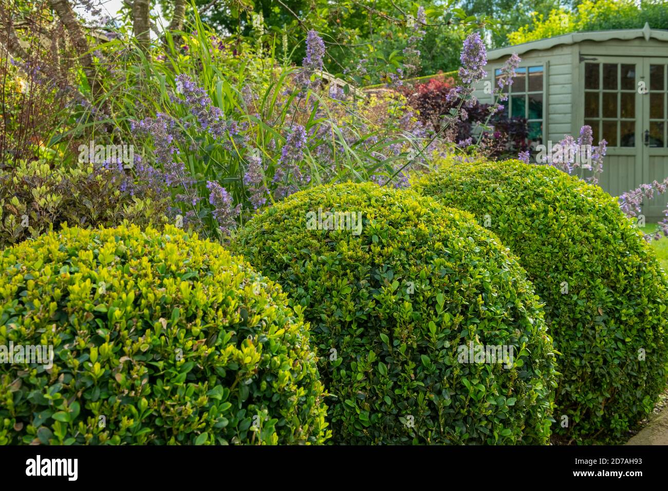 Jardin privé paysagé et ensoleillé (design contemporain, fleurs d'été, plantes frontalières, balles, abri d'été d'angle) - Yorkshire, Angleterre, Royaume-Uni. Banque D'Images